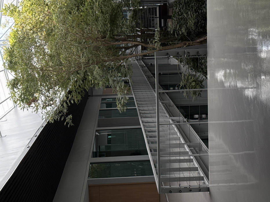 A modern building interior view includes a long, silver-colored metal staircase extending upwards. A tree with light green foliage stretches out above the staircase. Sections of the building feature large, rectangular windows and dark paneling. Lush green plants hang from the building's architecture. A textured, gray surface occupies the right side of the image, possibly a wall or reflective panel. The perspective is tilted, looking upwards at an angle.