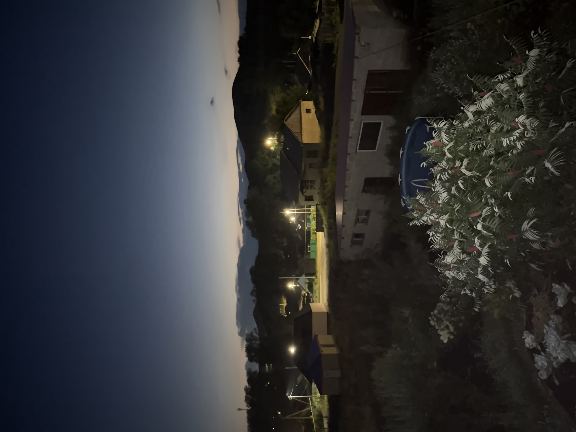 A dimly lit, slightly elevated exterior shot captures a rural residential area at dusk or dawn. The sky is a deep, gradient blue, transitioning to lighter tones near the horizon, with faint clouds. The landscape is dominated by rolling hills covered in dark foliage. Several small, one or two-story buildings are scattered throughout the scene, some illuminated by streetlights. One prominent building in the foreground appears to be a long, rectangular structure with a light-colored facade and a darker roof. To the left and slightly behind this structure is a bright blue, round inflatable pool. In front of the pool, and also in the foreground, is a lush bush with elongated, pale green leaves and striking red, fuzzy seed pods. Other vegetation fills the lower portion of the frame. The overall impression is of a quiet, rural setting at the beginning or end of the day. The image does not contain any people.