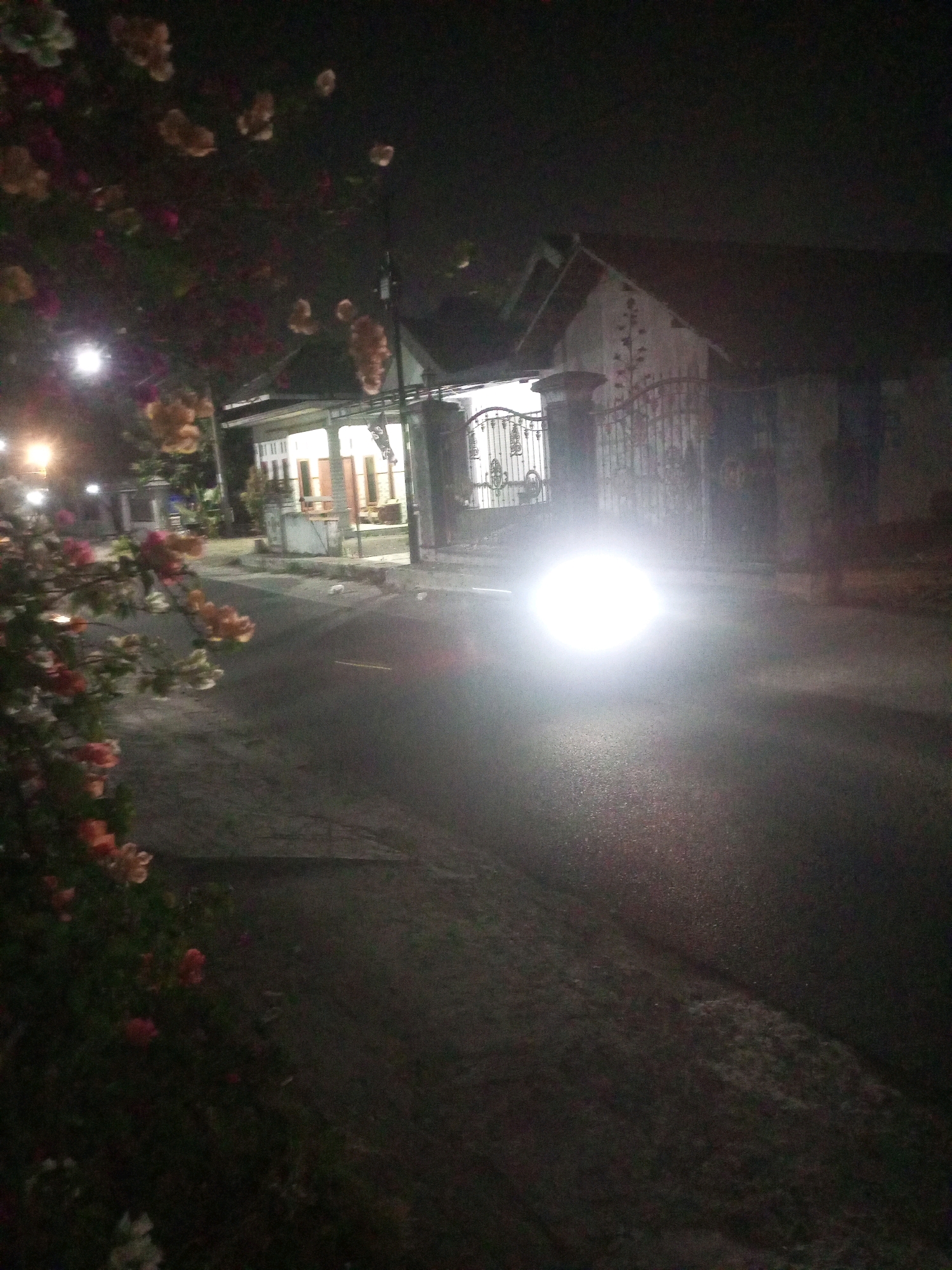 An outdoor nighttime scene in the city of Ngasem, Indonesia depicts a street in front of a residential building. The street is paved and appears to be in good condition, with a single lane visible. A bright headlight from an oncoming vehicle illuminates the scene, creating a strong glare that obscures details of the vehicle itself. To the left of the street, there is a dense collection of flowering plants with clusters of orange and pink blossoms. The residential building behind the street has a traditional Indonesian architectural style, with a white exterior and a gabled roof. A metal gate with ornate detailing guards the entrance to the property, and lights are visible inside the house, suggesting it is occupied. The overall atmosphere is dark and slightly eerie, with the strong headlight beam being the dominant source of light.