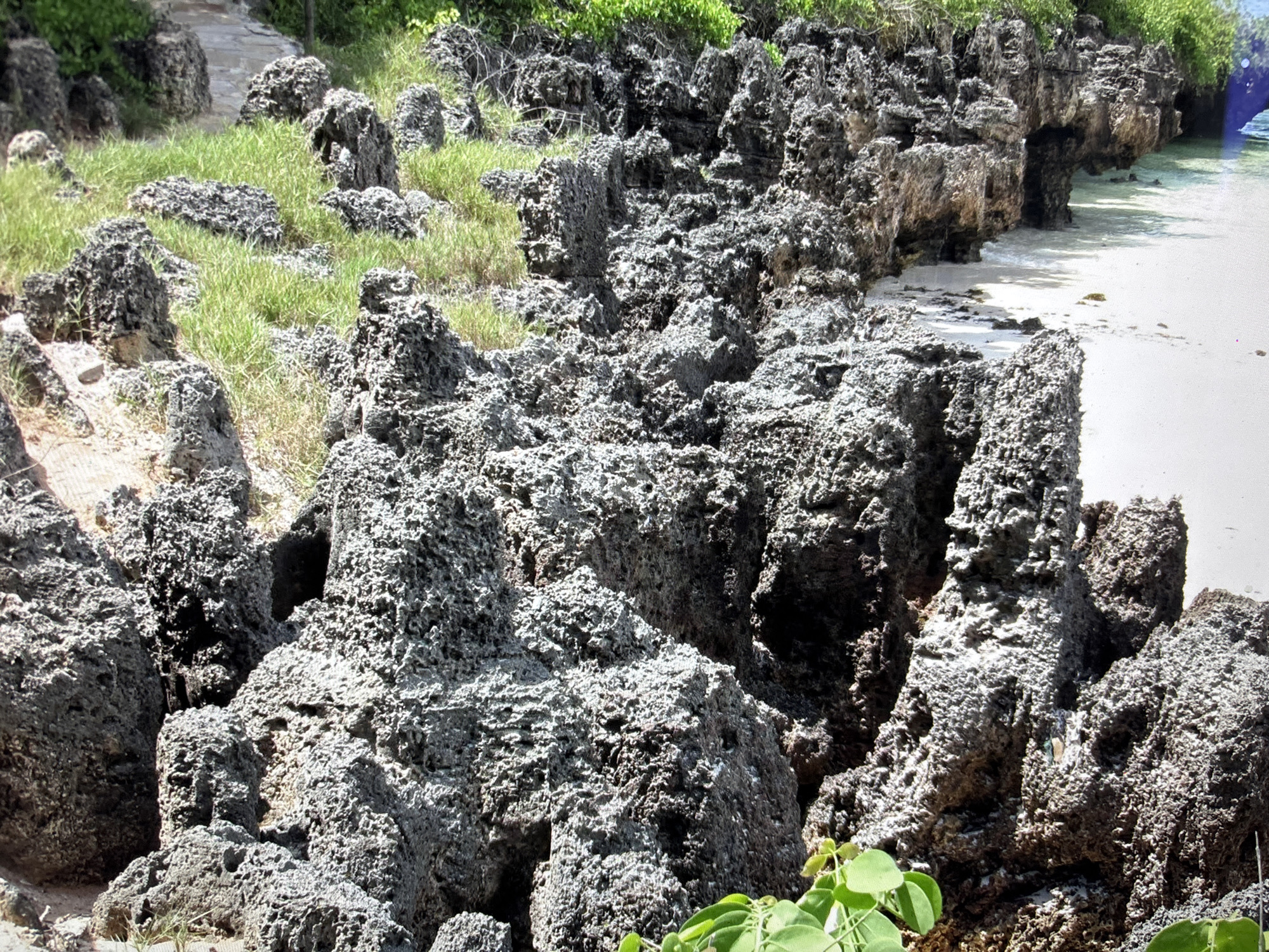 The image depicts a rocky coastline with weathered, porous volcanic rock formations. Green grass and vegetation grow sparsely among the rocks. In the background, a sandy beach meets the clear, calm ocean water. The scene appears to be a natural coastal landscape. There are no people, animals, or man-made structures visible. The location is not in Sofia, Bulgaria; it is a coastal area.
