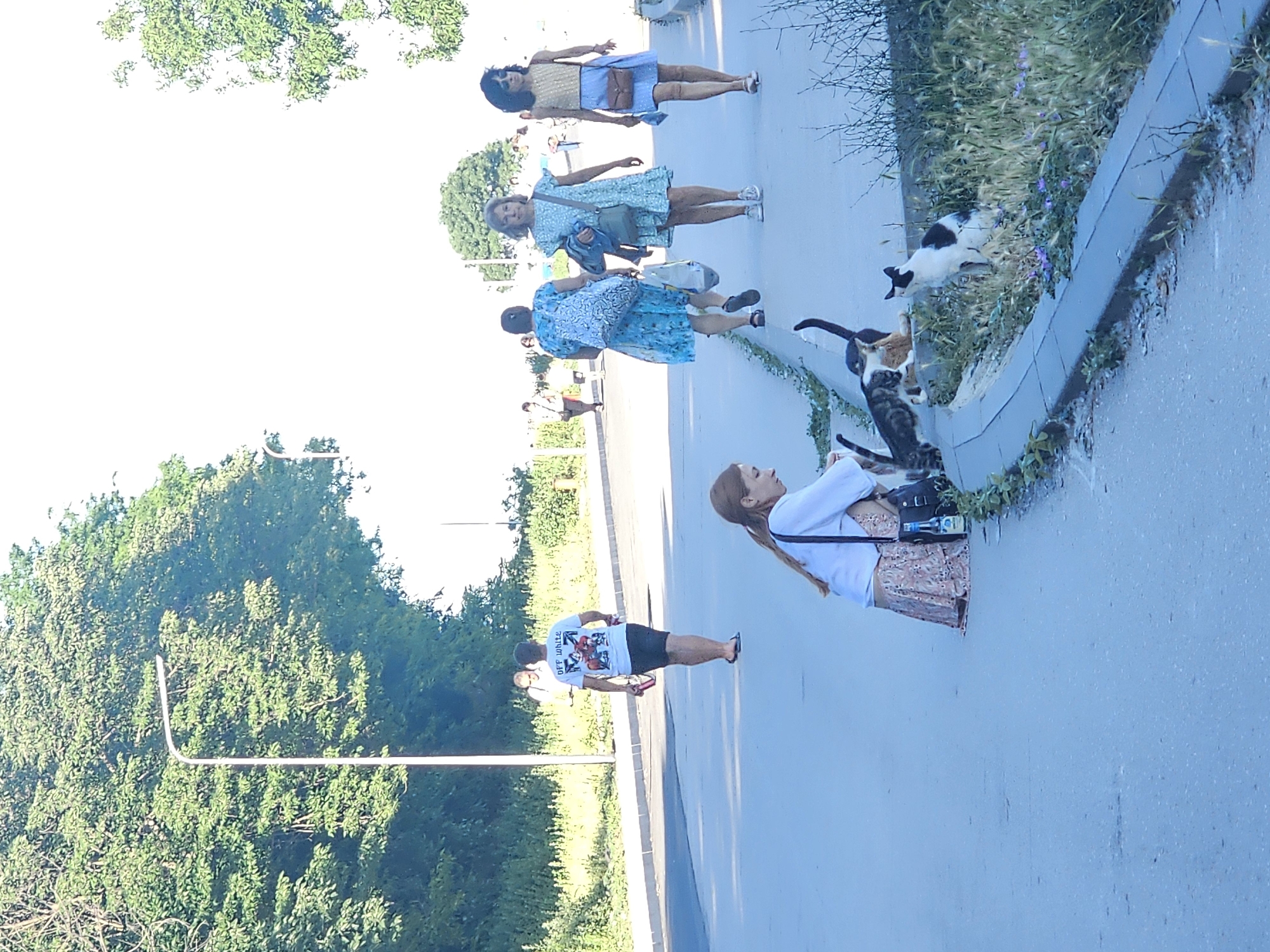 In an outdoor scene, several people and cats are visible. The image is oriented vertically, suggesting it might have been rotated.
In the foreground, a woman with long brown hair is looking to the left. She is wearing a white top and a patterned skirt, with a black bag on her shoulder. She is positioned next to a curb where several cats are present. One cat is black and white, another is tabby, and a third is a ginger color.
Further down the path, a man is walking away from the camera. He is wearing a white t-shirt with graphics and text that reads "OFF WHITE," and dark shorts. A tall, thin pole is visible in the background.
In the middle ground, three women are walking in the same direction as the man. The closest woman is wearing a blue patterned dress and carrying a bag. The woman behind her is wearing a light blue dress with white floral patterns and also carrying a bag. The furthest woman is wearing a light blue dress and carrying a brown purse.
In the background, lush green trees are visible, suggesting a daytime setting under clear skies. The scene appears to be a public path or sidewalk, possibly in a park or along a street with significant greenery. The overall mood seems relaxed, with people and animals coexisting in the environment.