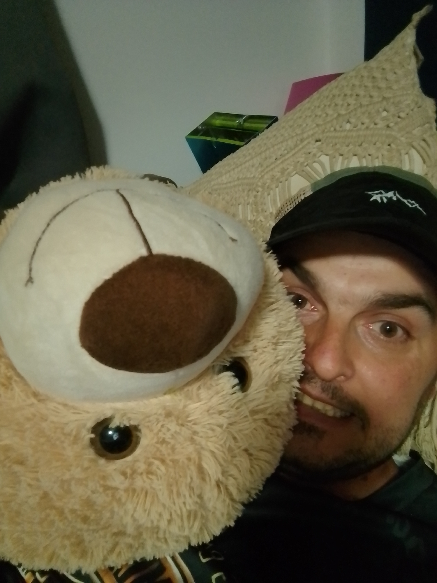 A close-up, selfie-style photograph features a person peeking out from behind a large, fluffy, tan teddy bear. The person, wearing a black baseball cap with a white emblem, has brown eyes and a light brown mustache and beard. Their mouth is slightly open, revealing teeth. The teddy bear's face, with a brown oval nose and visible black eye, is prominent in the foreground, obscuring a significant portion of the person's face. In the background, a beige, macrame-style woven textile is visible, and to the left, a dark gray object partially obscures the background. Further back on the left, a rectangular object with a green surface is visible. The lighting is dim. The image was taken indoors, likely in a domestic setting, with no discernible city landmarks visible.