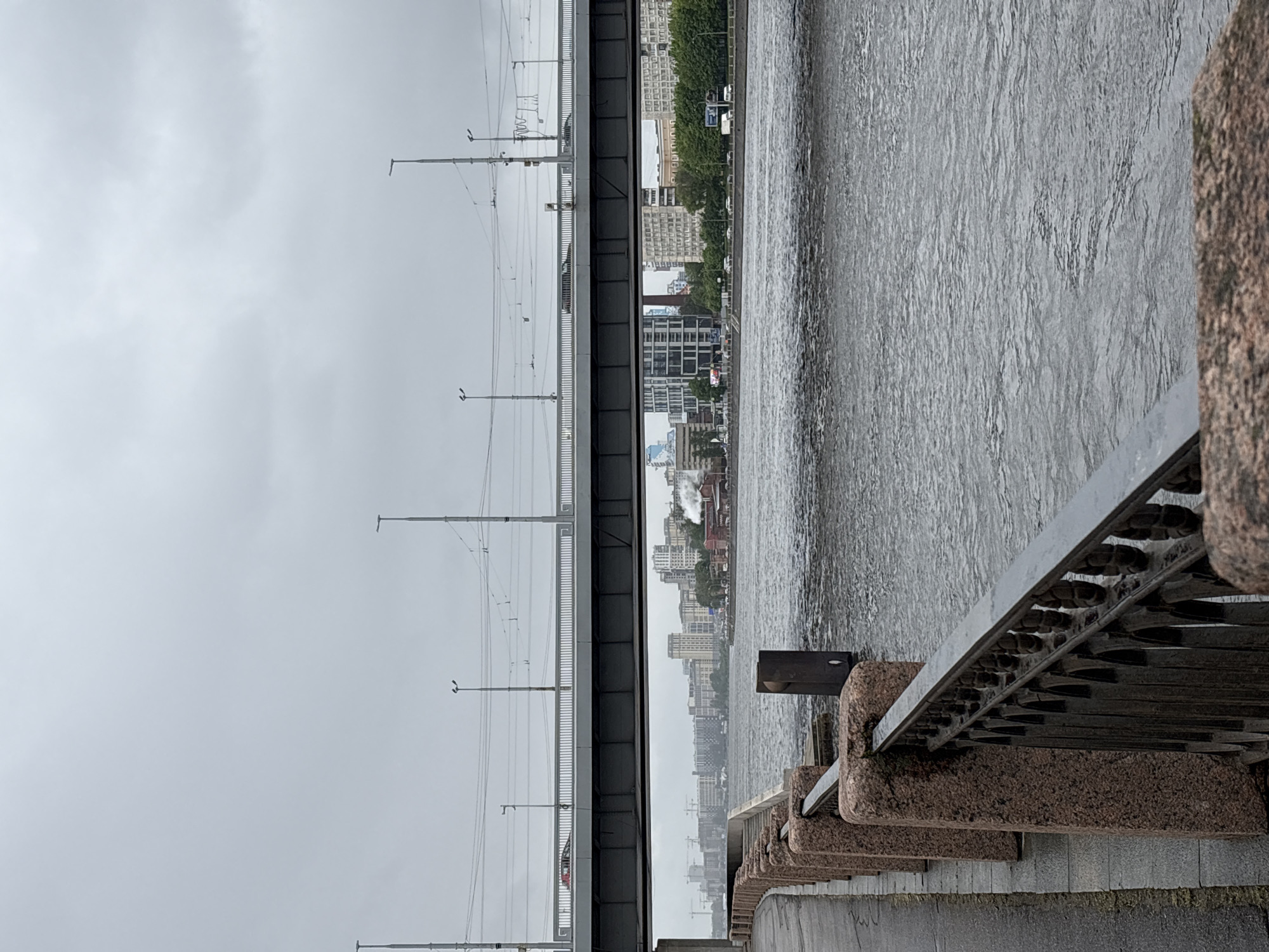 A view of the Neva River in Saint Petersburg, Russia, featuring a bridge overhead. The sky is overcast. Along the river, granite embankments are visible, with iron railings. The river itself is choppy. Reflected in the water is the city's skyline. Overhead, a bridge with street lights and power lines spans the river.
