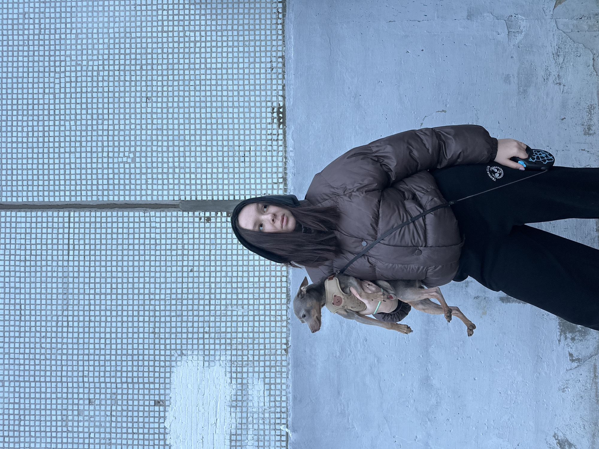 The image displays a young female subject standing outdoors, positioned centrally, holding a small dog. The subject has long, dark hair, partially covered by a dark hooded, puffy brown jacket and black sweatpants. Her gaze is directed to her left. In her right arm, she holds a small, light brown/grey, short-haired dog, which is wearing a beige harness with a brown teddy bear patch. The dog's head is also oriented to the left. The subject's left hand holds a retractable dog leash with a black and blue camouflage pattern. The background consists of a weathered building wall, segmented horizontally. The upper portion of the wall features a light blue/grey square mosaic tile pattern, exhibiting missing tiles and discoloration. The lower section of the wall is painted a faded light blue/grey, showing significant peeling and exposed texture. A vertical seam or structural element is present on the far left of the wall. The specific location within Chaikovsky, Russia, is not identifiable from the visual information provided in the image.
