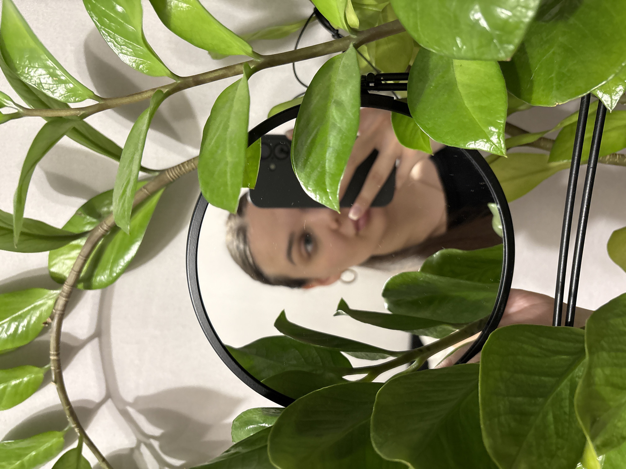 A person is taking a selfie in a round, black-framed mirror surrounded by a leafy green plant, likely a ZZ plant, against a neutral-toned wall. The phone is visible in the reflection. The person's face is the main subject in the mirror, slightly obscured by the phone and the plant leaves. No other details are visible that would indicate the location is Chaikovsky, Russia.