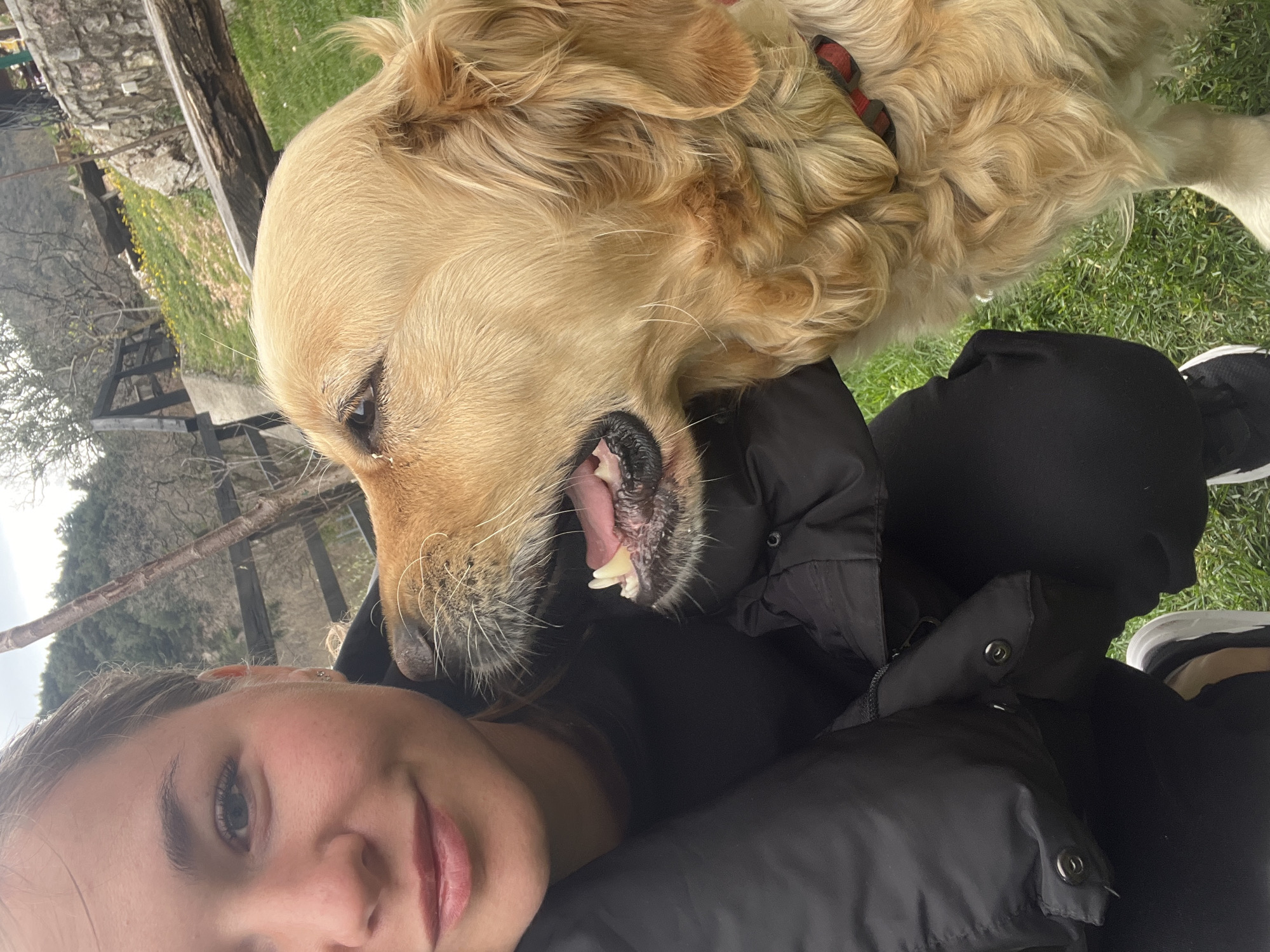 A person, presumably female based on the face, is taking a selfie with a Golden Retriever dog. The dog is positioned above the person, with its head near the person's shoulder. The dog's mouth is slightly open, revealing its teeth and tongue. The person is wearing a black puffer jacket. The background includes grass and trees. The location cannot be determined as being in Krapina, Montenegro, based solely on this image.