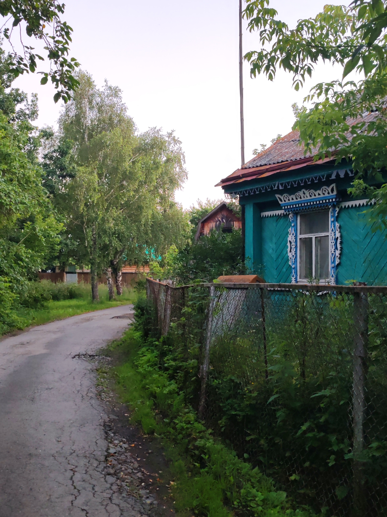 The image depicts a slightly overcast day in the village of Kashino, Russia, focusing on a residential street. A weathered asphalt road curves to the left, lined with lush green foliage and trees, primarily birches, on both sides. To the right of the road, a chain-link fence separates the street from a yard. Beyond the fence, a teal-colored wooden house with ornate white and blue trim around a window is visible. The house has a corrugated metal roof with some rust. Further down the road, other residential structures and fences can be seen amidst the greenery. The overall impression is of a rural or semi-rural setting with older architecture and abundant vegetation.