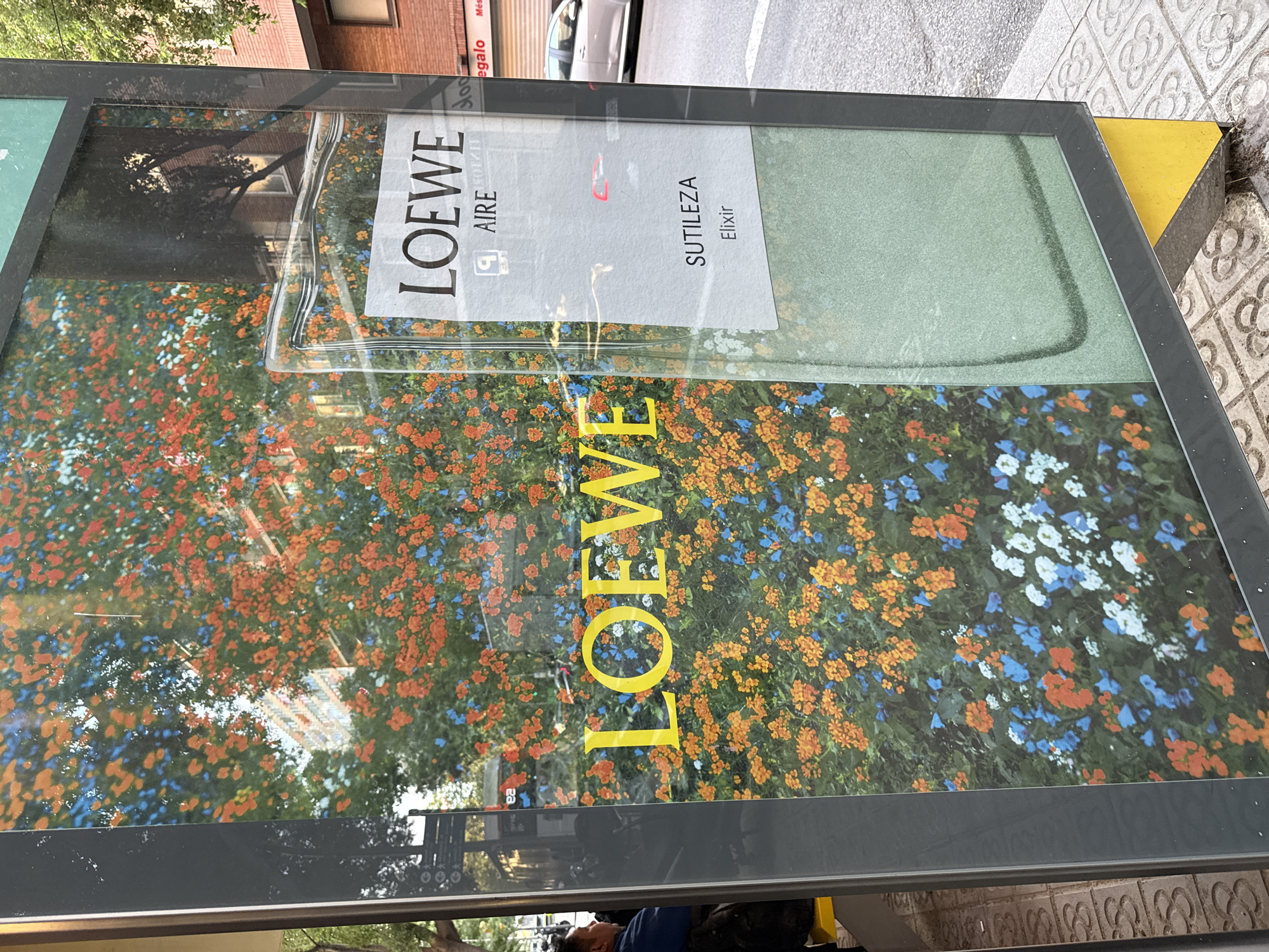 The image shows a bus stop advertisement for Loewe Aire Sutileza Elixir perfume in Barcelona, Spain. The advertisement features the perfume bottle superimposed over a floral background of orange, blue, and white flowers. The Loewe brand name is displayed vertically in large yellow letters. The bus stop shelter is made of dark gray metal and glass, and a section of the sidewalk with patterned tiles is visible at the base. Reflections in the glass show parts of the surrounding street, including a building and a parked car. A person is visible reflected in the lower portion of the glass.