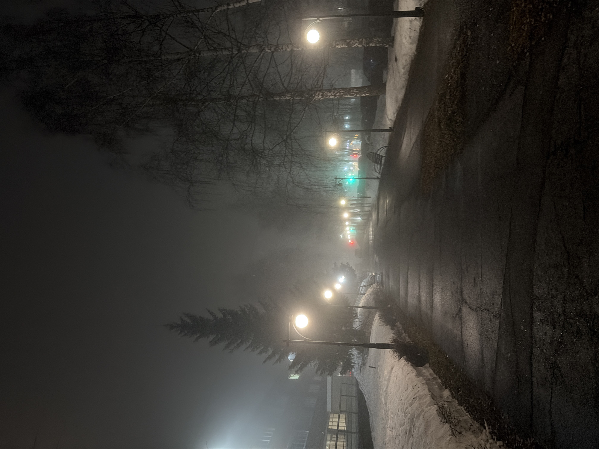 The image depicts a street scene at night in Sarapul, Russia, characterized by heavy fog and sparse lighting. A paved road stretches into the distance, reflecting the light from numerous street lamps lining the side. Buildings are visible on the left, their details obscured by the fog. Trees are interspersed along the road, some bare-branched, others coniferous. Patches of snow are present on the ground adjacent to the road. A traffic light can be discerned further down the road. No people or other subjects are clearly visible.