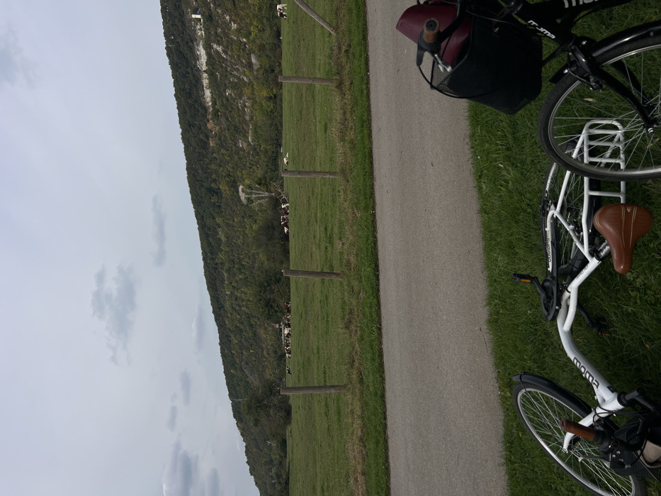 The image displays a rural landscape near Vernon, France, under an overcast sky. In the immediate foreground, two bicycles are present on green grass bordering a paved pathway. A white bicycle lies on its side to the left, exhibiting a brown leather saddle and branding partially obscured. To the right, the front wheel, handlebars, and a black basket of a dark-colored bicycle are visible, with a dark red object contained within the basket. A grey asphalt path traverses horizontally across the mid-foreground. Beyond this path, a fence constructed from vertical wooden posts separates the path from a expansive green pasture. Approximately fifteen brown and white cows are dispersed across this field, some standing and others resting on the grass. The background is dominated by a substantial wooded hillside, characterized by dense green foliage and exposed sections of light-colored rock or cliff faces. A light-colored, possibly industrial, structure is visible on the upper right portion of the hillside. The sky overhead is grey and largely covered with scattered clouds.