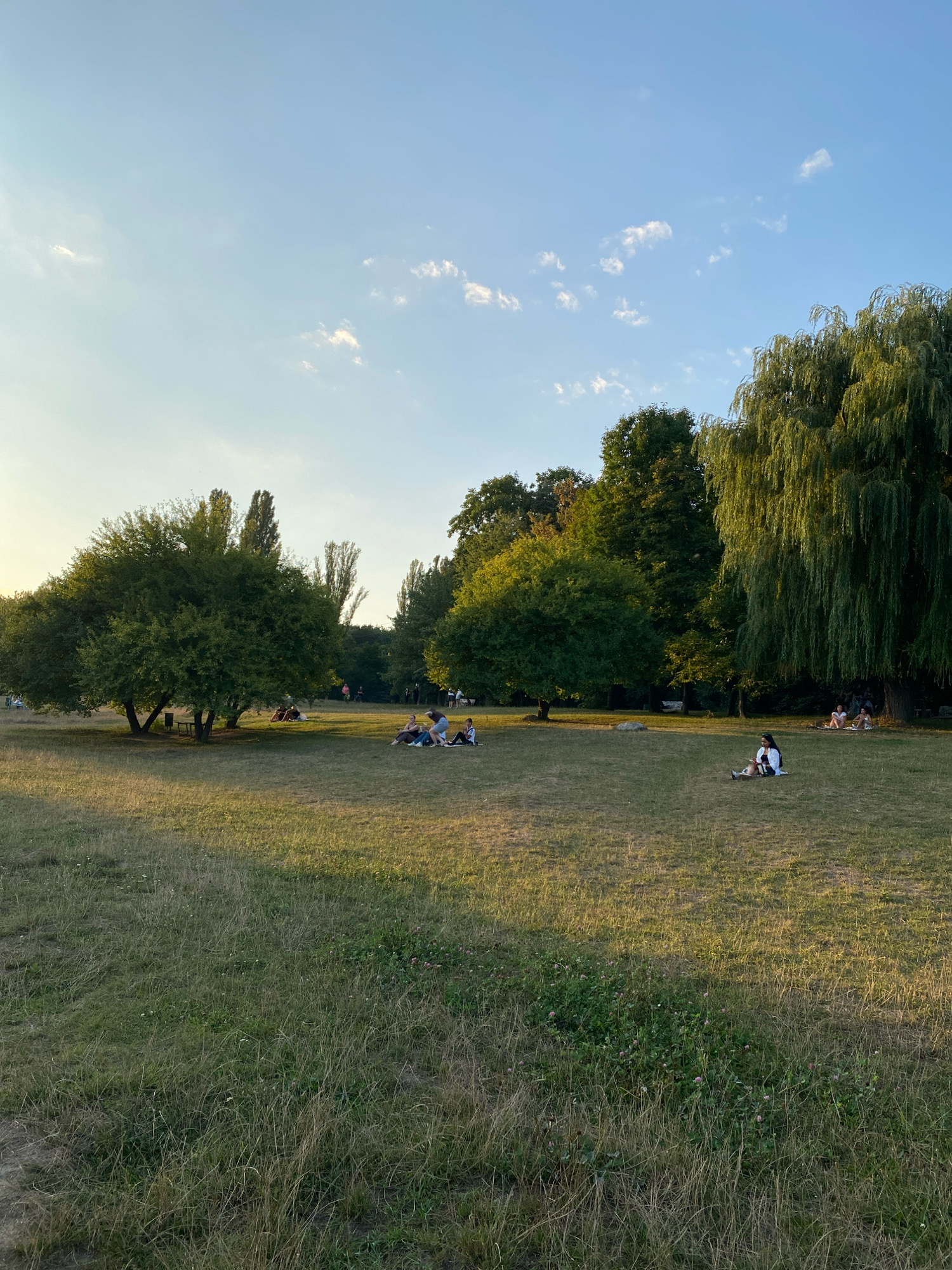 The image depicts a park scene with several groups of people relaxing on a grassy field under a clear blue sky with scattered white clouds. The time of day appears to be late afternoon or early evening, as indicated by the warm, golden sunlight casting long shadows.
In the foreground, the grass is a mix of green and dry hues, with some patches of clover and small wildflowers. The middle ground features several trees, including a large, leafy deciduous tree on the left and a tall, weeping willow on the right, its branches cascading down.
Scattered throughout the park are individuals and small groups of people. On the left, a group of four people are seated together, appearing to be engaged in conversation. To the right of them, another group of three individuals are also sitting on the grass. Further to the right, a single person is seated, facing away from the camera. In the distance, near the weeping willow, a group of people are gathered under the tree.
The background consists of more trees and foliage, suggesting a natural or parkland setting within a city. Based on the provided image and lack of specific contextual information within the image itself, it is not possible to determine the exact location within Vinnytsia, Ukraine.