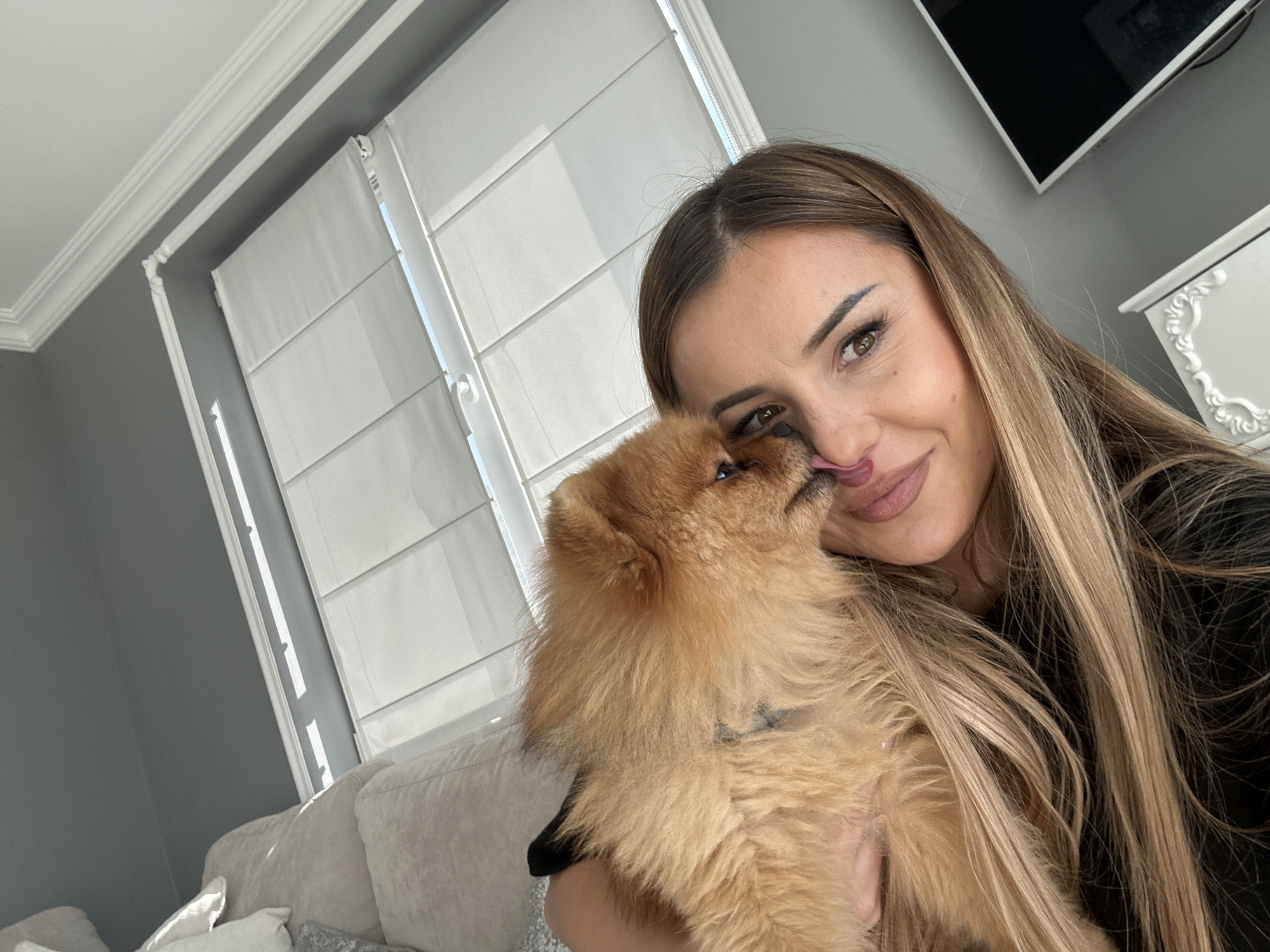 This image depicts an indoor scene in Asenovgrad, Bulgaria, featuring a young adult female holding a small, fluffy orange-brown Pomeranian-type dog. The woman, positioned on the right side of the frame, has long, straight blonde hair with lighter highlights, brown eyes, and is smiling while looking directly at the camera. She wears a black long-sleeved top. The dog, held in her left arm, has its head tilted upwards, actively licking the left side of her nose and upper cheek with its tongue extended. A dark-colored collar is visible around the dog's neck.
The background reveals a domestic room with medium-dark gray walls and white ornate crown molding along the ceiling. To the left, a large window is covered by white Roman blinds with horizontal folds, allowing natural light to enter the room. A light beige sofa with several cushions (some white, some gray) is partially visible in the lower left quadrant. In the upper right, a black flat-screen television is mounted on the gray wall above a partially visible white, ornately carved dresser or cabinet. The television screen is off and appears black.