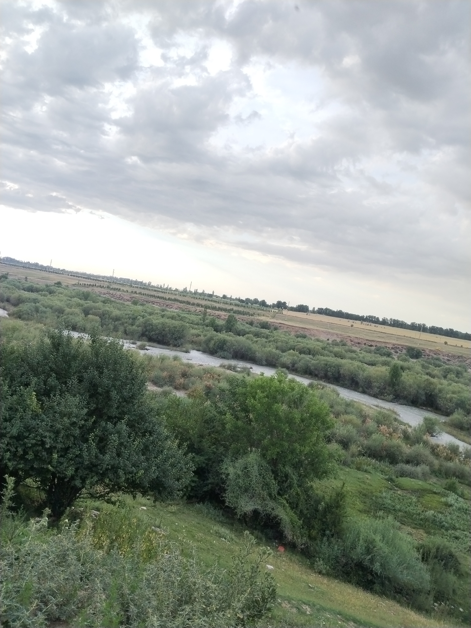 The image depicts a wide, rural landscape under an overcast sky. The foreground is dominated by a grassy incline covered in various types of green foliage, including trees and thorny bushes. A river, appearing somewhat shallow and wide, snakes through the middle ground, its banks lined with dense green vegetation. Beyond the river, the landscape extends into fields and what appear to be cultivated areas, with rows of trees or crops visible in the distance. The far background shows a flat horizon with more greenery and a few scattered structures or utility poles. The sky is filled with heavy, gray clouds, suggesting an overcast or potentially rainy day. The overall impression is one of a natural, undeveloped or agricultural area. There is no visible text or discernible activity taking place. The time of day appears to be late afternoon or evening due to the subdued lighting.