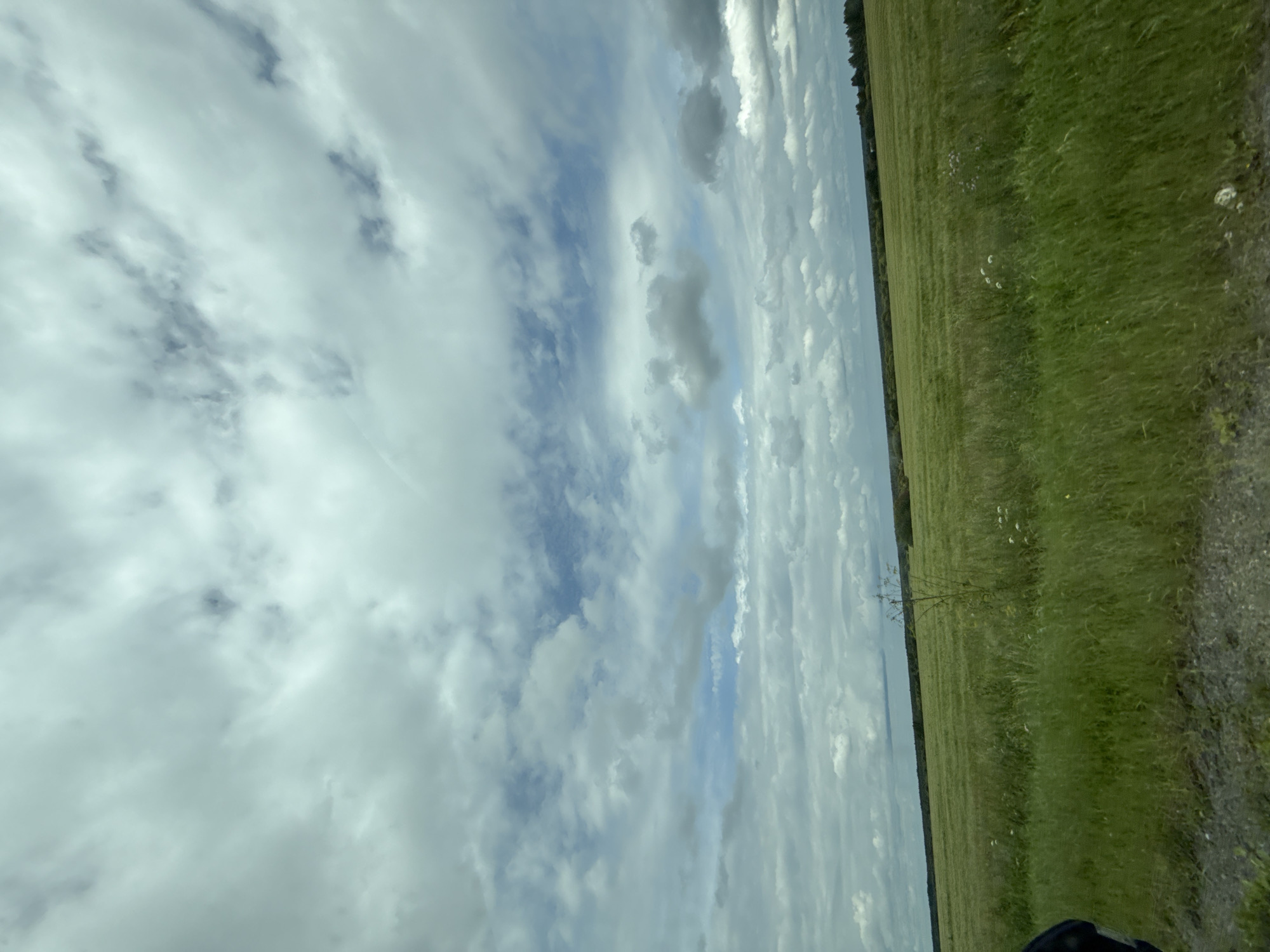 The image depicts a vast, green field under a cloudy sky, with a hint of a wooded area on the horizon. The foreground shows a gravel path bordering the field. The sky is filled with a mix of light and dark clouds, with patches of blue visible. There is a single, thin tree or large weed in the middle ground of the field, along with a few small white wildflowers scattered throughout the grass. The overall impression is a rural landscape. There are no people or identifiable structures visible in the scene. The location is identified as Ключи, Russia, which is a village in the Krasnoyarsk Krai.
