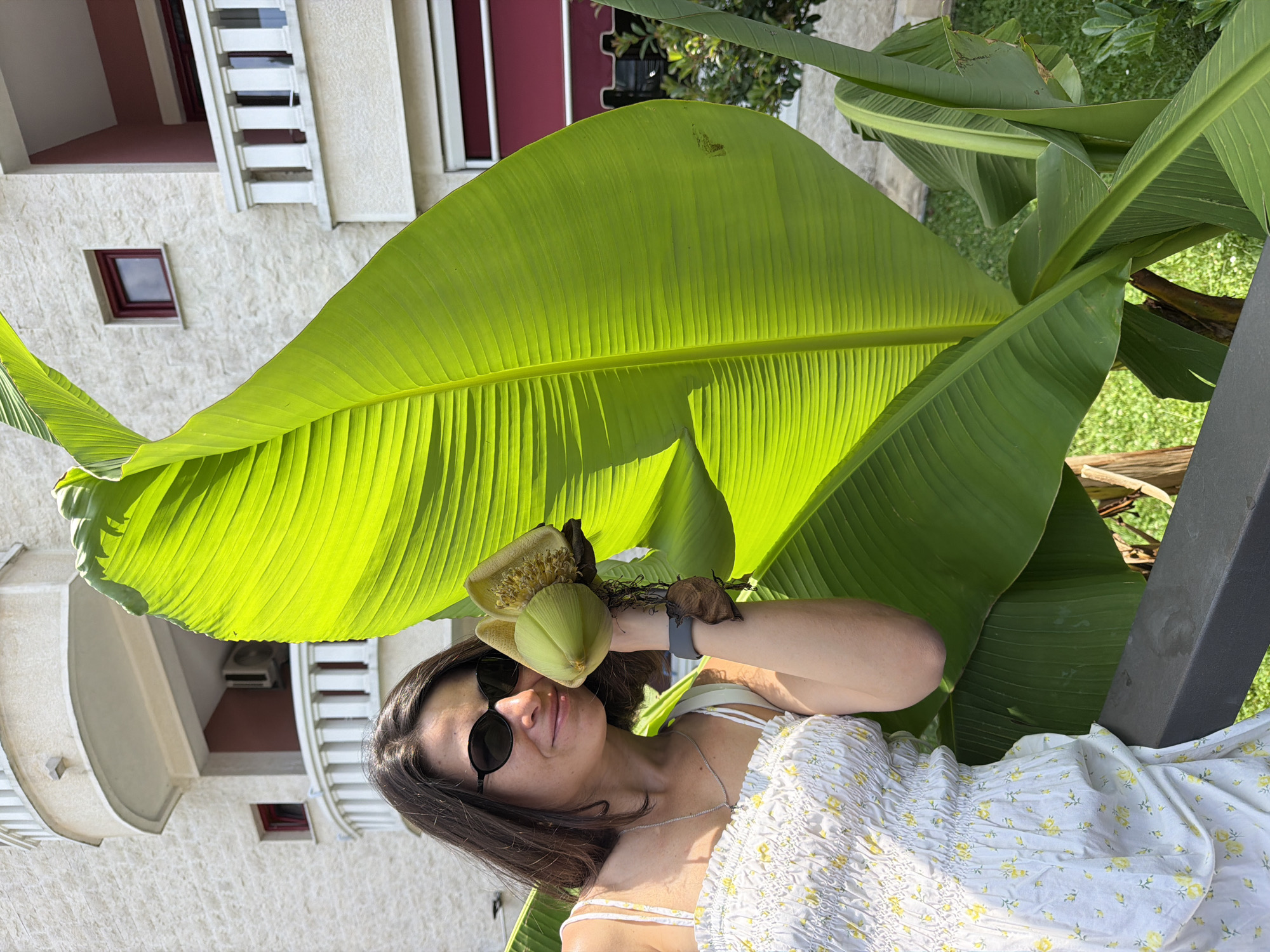 A woman wearing a white floral dress and sunglasses is posing with a banana flower. She is standing next to a large banana plant. Behind her is a beige building with balconies and red window frames. The scene appears to be outdoors in a sunny environment.