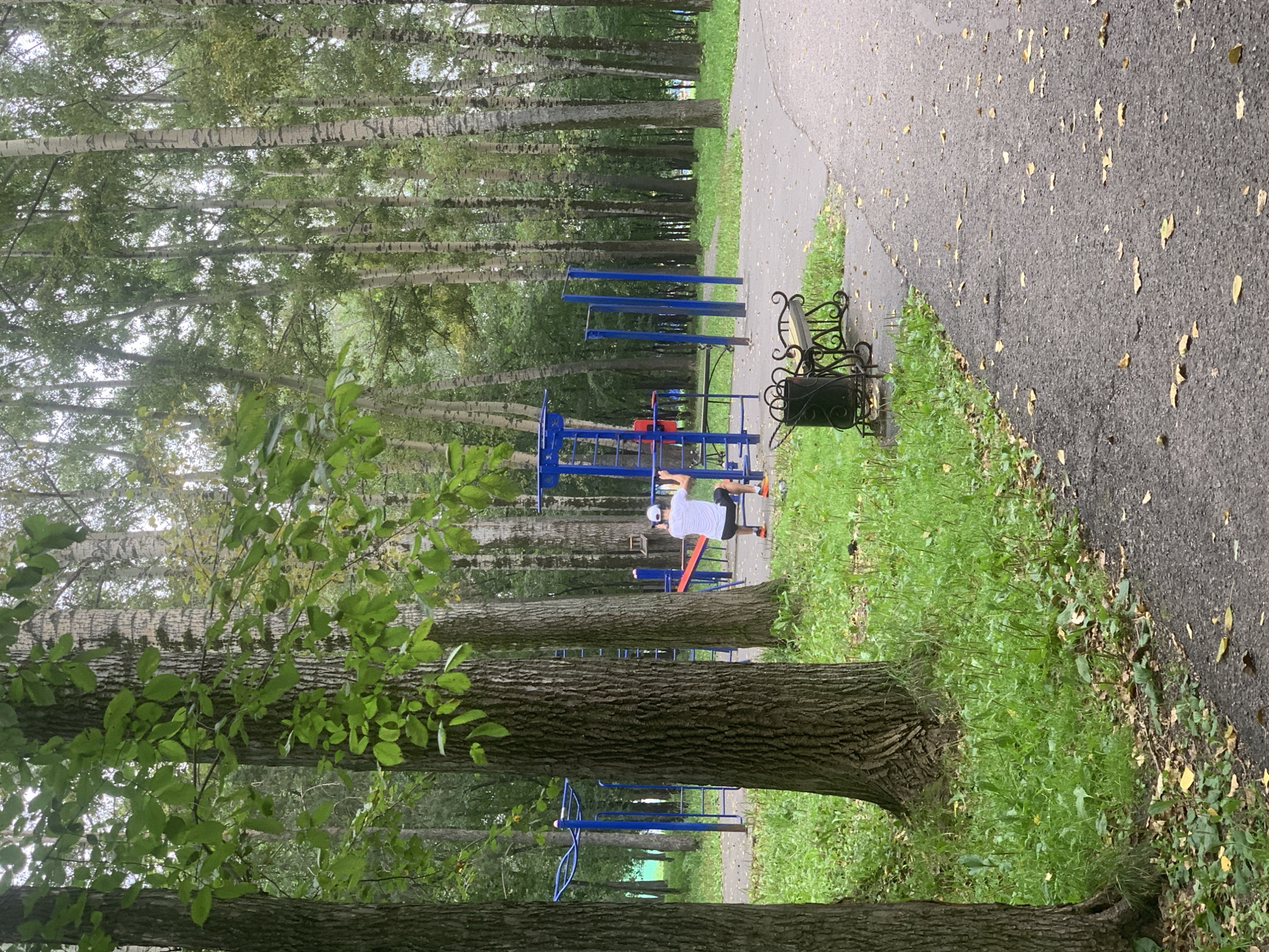 An outdoor fitness area in Prokopyevsk, Russia, features a person in a white t-shirt and dark shorts exercising on a piece of equipment. The equipment consists of blue metal poles and red bars, and the person is positioned with their hands on a bar and legs bent. The ground around the equipment is a gravel-like surface. Adjacent to the fitness equipment is a park bench with an ornate, dark metal design and a matching trash can. The area is surrounded by numerous tall trees with thin trunks, typical of a park or forest setting. Green grass grows in patches between the trees and along a paved pathway that curves through the scene. The pathway is speckled with fallen leaves, suggesting the season is autumn. The lighting is overcast, indicating a cloudy day. The overall impression is a functional outdoor recreation space within a natural, wooded environment.