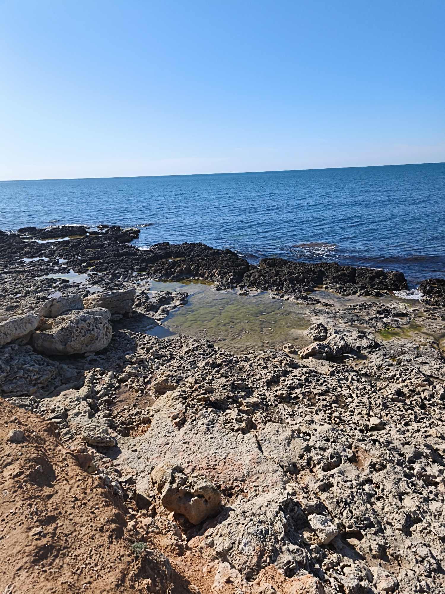 This media file presents a serene coastal landscape in Sevastopol, Ukraine, under a clear, bright blue sky. The top half of the image is dominated by the expanse of the sky, meeting a calm, deep blue sea at the horizon. The water exhibits gentle ripples but appears largely tranquil.
The foreground and midground reveal a rugged, rocky coastline. The rocks are varied, featuring large, light-colored, porous formations, some resembling weathered limestone, along with darker, possibly wet or volcanic-like rocks closer to the water's edge. Scattered amongst these formations are several shallow tide pools, reflecting the sky and containing clear water, with hints of green algae or submerged plant life. On the far left, a patch of reddish-brown earth or sand contrasts with the predominantly light-grey and dark-brown rocks.
The scene captures a natural, untouched environment. There are no people, animals, or man-made objects visible, suggesting a remote or wild section of the coast. The absence of long shadows and the vibrant illumination indicate a clear, sunny day, likely during late morning or early afternoon. The overall impression is one of peacefulness and natural beauty. No visible text is present in the image.