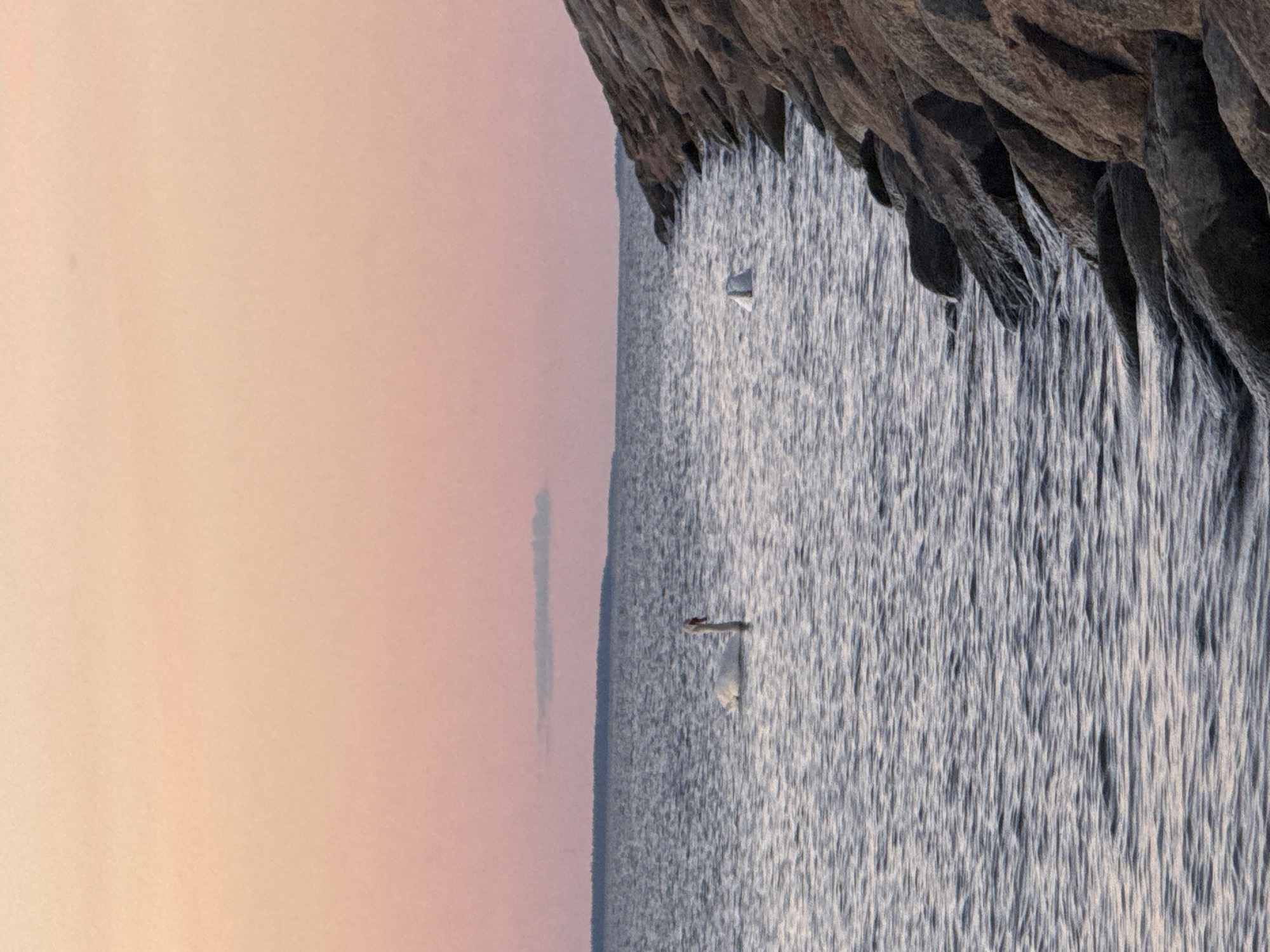 A serene scene unfolds at dusk on the coast of Tallinn, Estonia. The sky is a soft gradient of pink and orange, with a wispy cloud stretching horizontally across the upper portion. The calm water of the sea reflects the pastel hues of the sky, with gentle ripples disturbing the surface. In the distance, a silhouetted landmass forms the horizon line.
A graceful white swan glides on the water to the left of the frame, its long neck gracefully curved. Further to the right, another white object, possibly a second swan or a buoy, is partially submerged. The foreground is dominated by a rocky shore, a man-made breakwater constructed from large, rough-hewn stones. The stones are dark and varied in color, with some tinged with reddish-brown. The breakwater extends diagonally from the bottom right corner of the image upwards, creating a textured barrier between the water and the unseen land. The overall impression is one of tranquility and natural beauty, with a touch of human intervention in the form of the breakwater.
