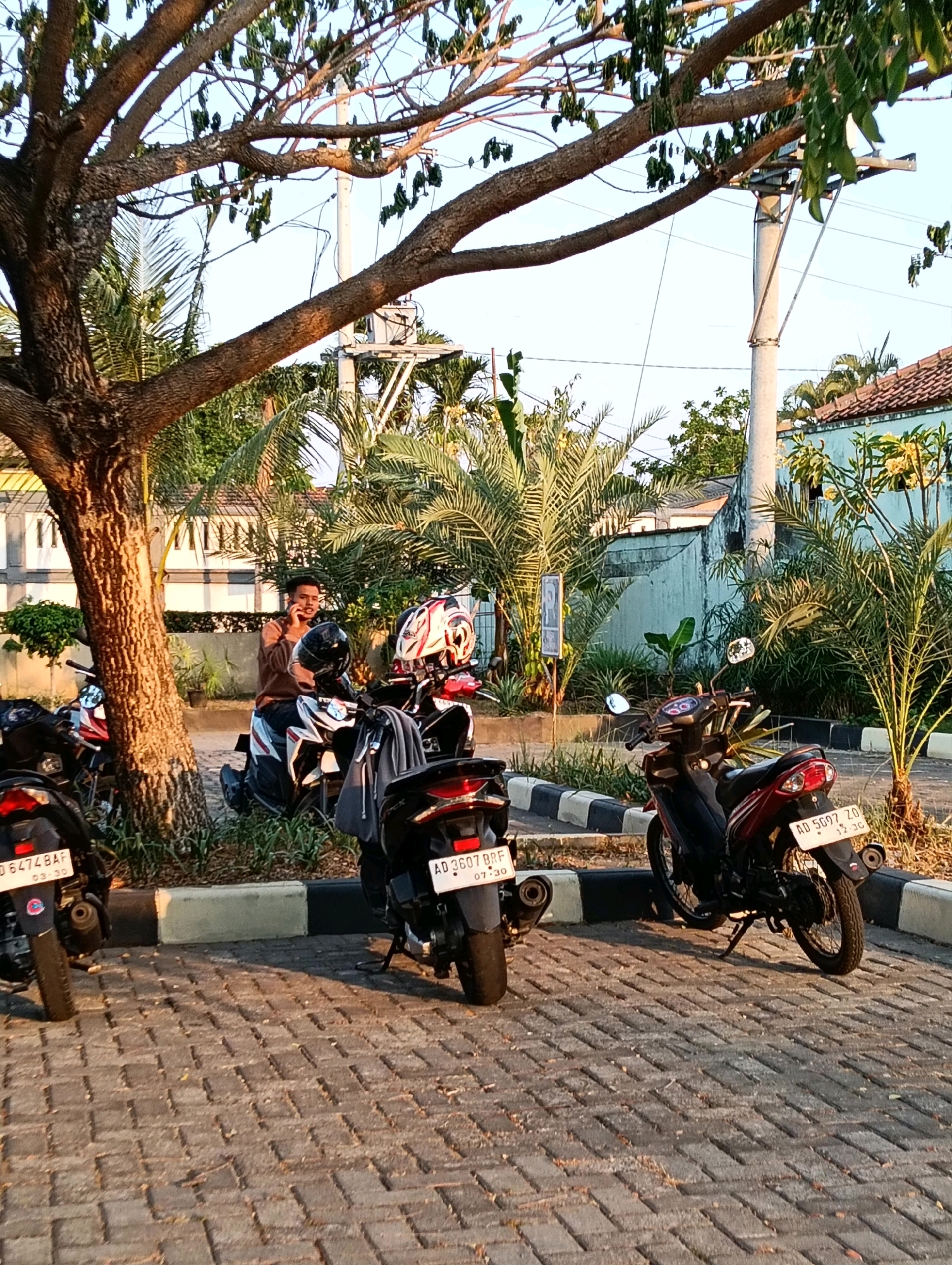Memory