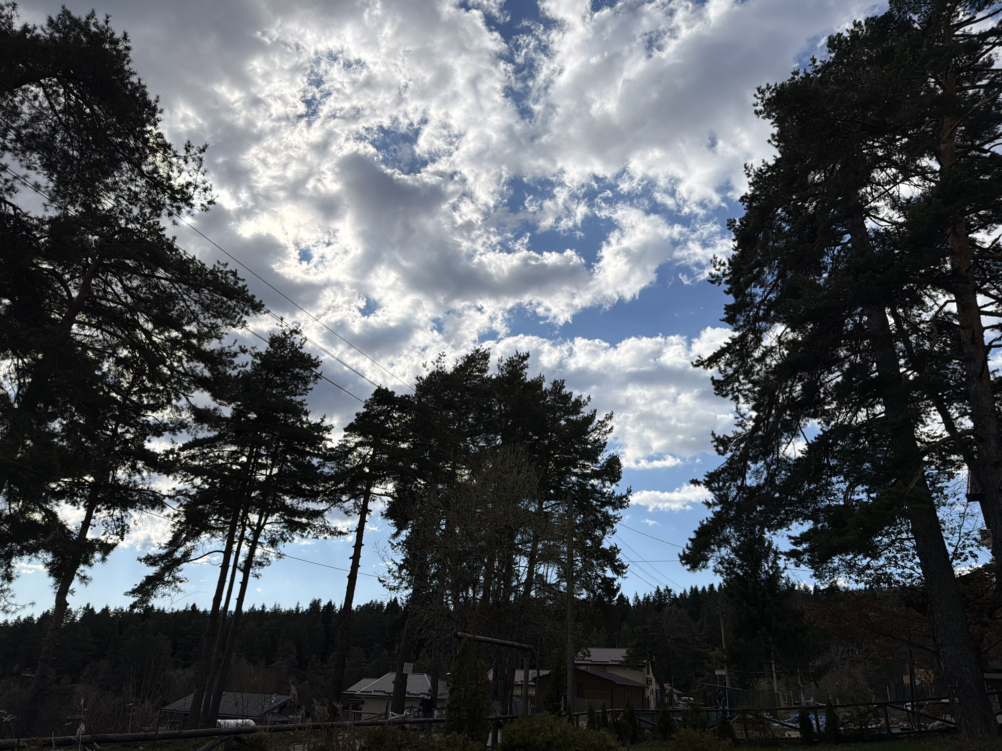 The image shows a view from a slightly elevated position looking out towards a residential area framed by silhouetted trees against a cloudy sky. The sky is partly blue with scattered white and grey clouds. Silhouetted evergreen trees, mostly pines, are present on the left and right sides of the frame, partially obscuring the view. Below the trees, there is a residential area with houses, some of which are partially visible due to the foliage. There's a dark green forested area in the background behind the houses. A fence-like structure is in the immediate foreground. Power lines stretch across the view, intersecting the sky and trees. The lighting suggests it's either early morning or late afternoon. Location is Unknown, Unknown.