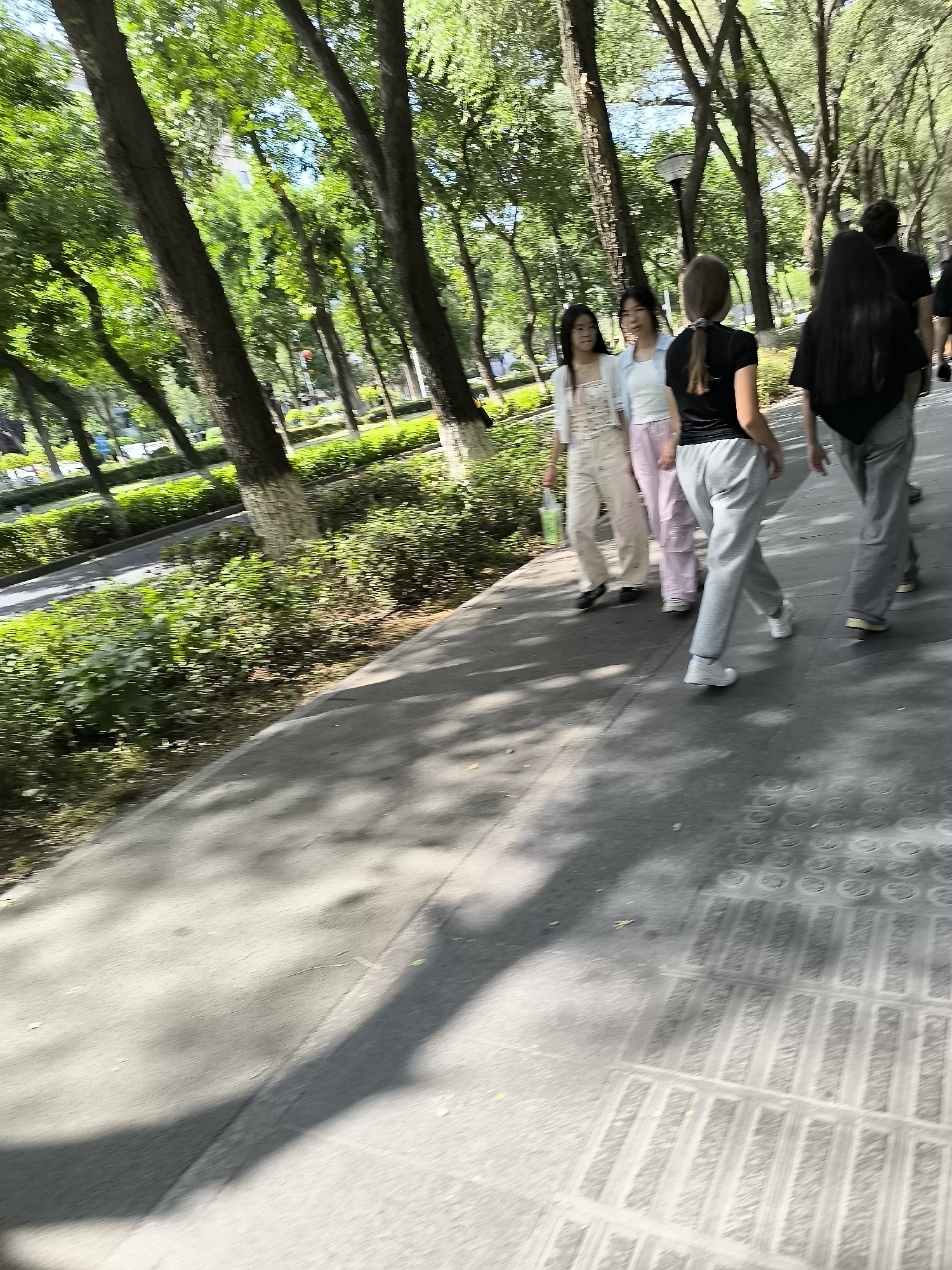 The image depicts a group of four young individuals, two women and two individuals whose gender is not discernible, walking along a paved pathway adjacent to a tree-lined street. The setting appears to be a park or a well-maintained urban green space, possibly in Ürümqi, China, suggested by the presence of lush trees, manicured bushes, and a paved walkway with patterned sections that could be indicative of local urban design. The lighting suggests it is daytime, with dappled sunlight filtering through the trees, casting shadows on the pathway. The individuals are casually dressed; one woman in the foreground is wearing grey sweatpants and a black t-shirt, while another in the middle ground wears a light blue shirt and pink pants. Two other individuals, one in a white top and patterned skirt and another in a black shirt and grey pants, are also walking. The focus is on their movement and casual interaction, as they walk away from the camera. The overall atmosphere is one of relaxed outdoor activity.
