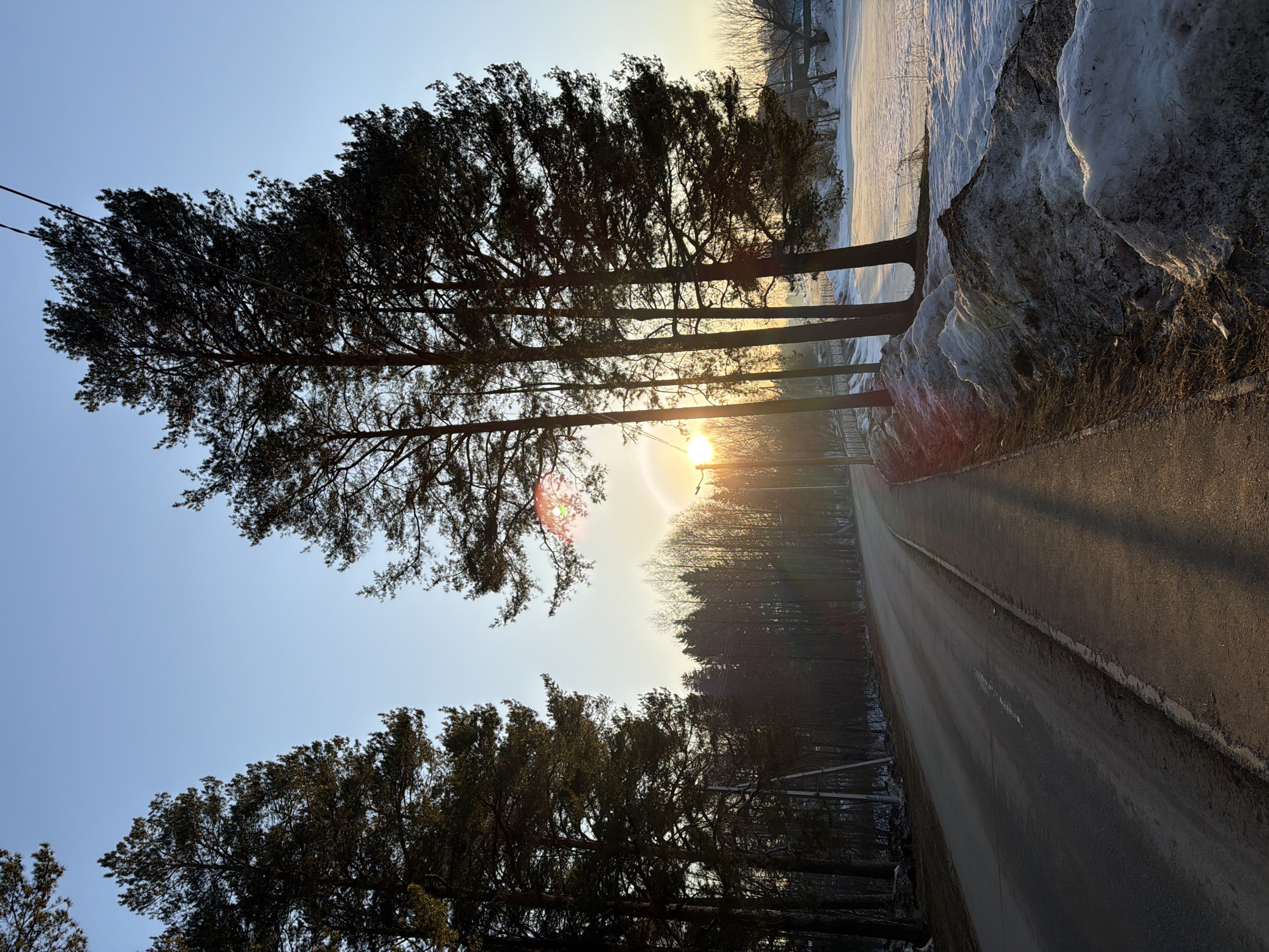The image captures an outdoor scene in Chaikovsky, Russia, during what appears to be either sunrise or sunset, given the low sun angle and long shadows. A two-lane asphalt road curves gently to the left, extending into the background. Tall pine trees, predominantly silhouetted, line both sides of the road, with a denser cluster on the right. The sun, a bright golden orb, is low on the right horizon, partially obscured by trees and a utility pole, emitting a prominent lens flare.
On the immediate right of the road, a paved sidewalk or shoulder is visible, alongside substantial mounds of dirty, melting snow and patches of exposed dark earth. Beyond these snowbanks, a flat expanse of snow-covered ground or frozen water extends to the far right. In the distance across this expanse, a few structures and what appears to be a bridge are discernible, framed by bare deciduous trees. Utility poles with overhead power lines are visible along the road on both sides. The sky above is clear, transitioning from light blue at the top to a golden hue near the horizon, illuminated by the low sun. No individuals or vehicles are present in the frame.
