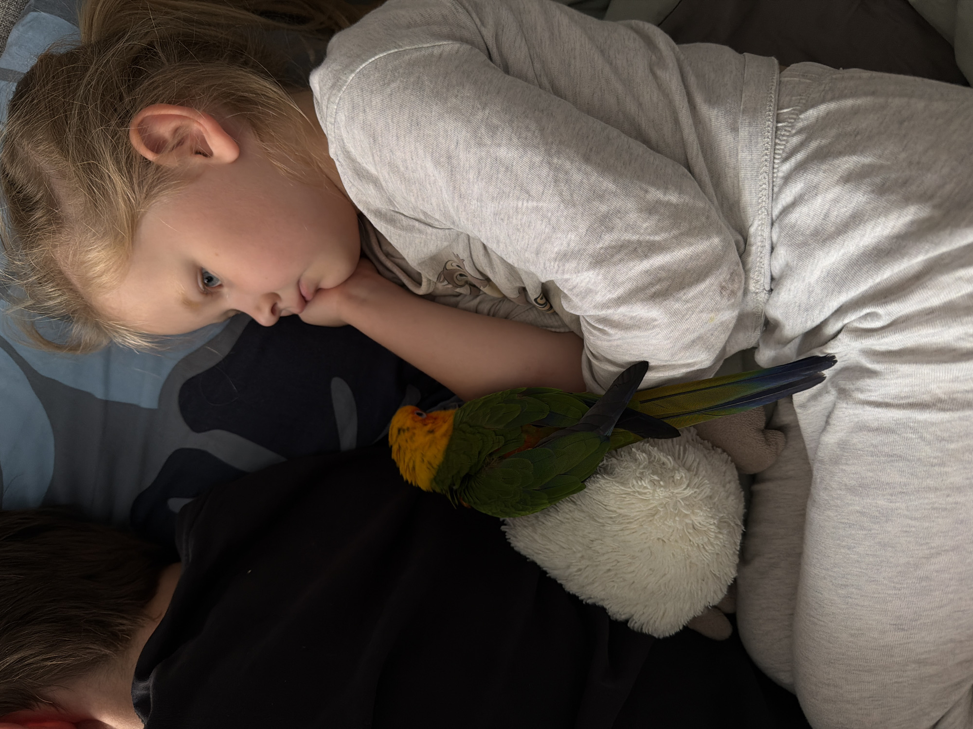 A young child with blonde hair is lying on a bed or mattress. The child is wearing grey pajamas. An adult or older child with brown hair is lying beside the young child. A parrot with green and yellow feathers is perched on a white stuffed animal near the children. The location is not discernible from the image.
