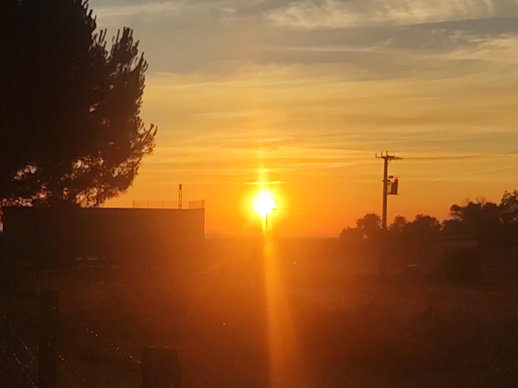 An outdoor, ground-level, horizontal, medium shot captures a bright sunset over a rural or semi-rural landscape in Sobradillo, Spain. The sun, a blinding white orb with a distinct vertical flare, is positioned centrally in the frame. The sky is a gradient of warm colors, transitioning from bright orange near the horizon to pale yellow and then soft grey clouds with blue undertones towards the top.
To the left, a large, dark silhouette of a tree with dense foliage dominates the foreground. Adjacent to the tree, a rectangular building with a lighter-colored top is visible. In the middle ground, a utility pole with electrical equipment stands prominently on the right side of the frame. The surrounding environment is characterized by dark, silhouetted vegetation and possibly fields. The overall impression is of a serene, natural scene illuminated by the dramatic light of a sunset.