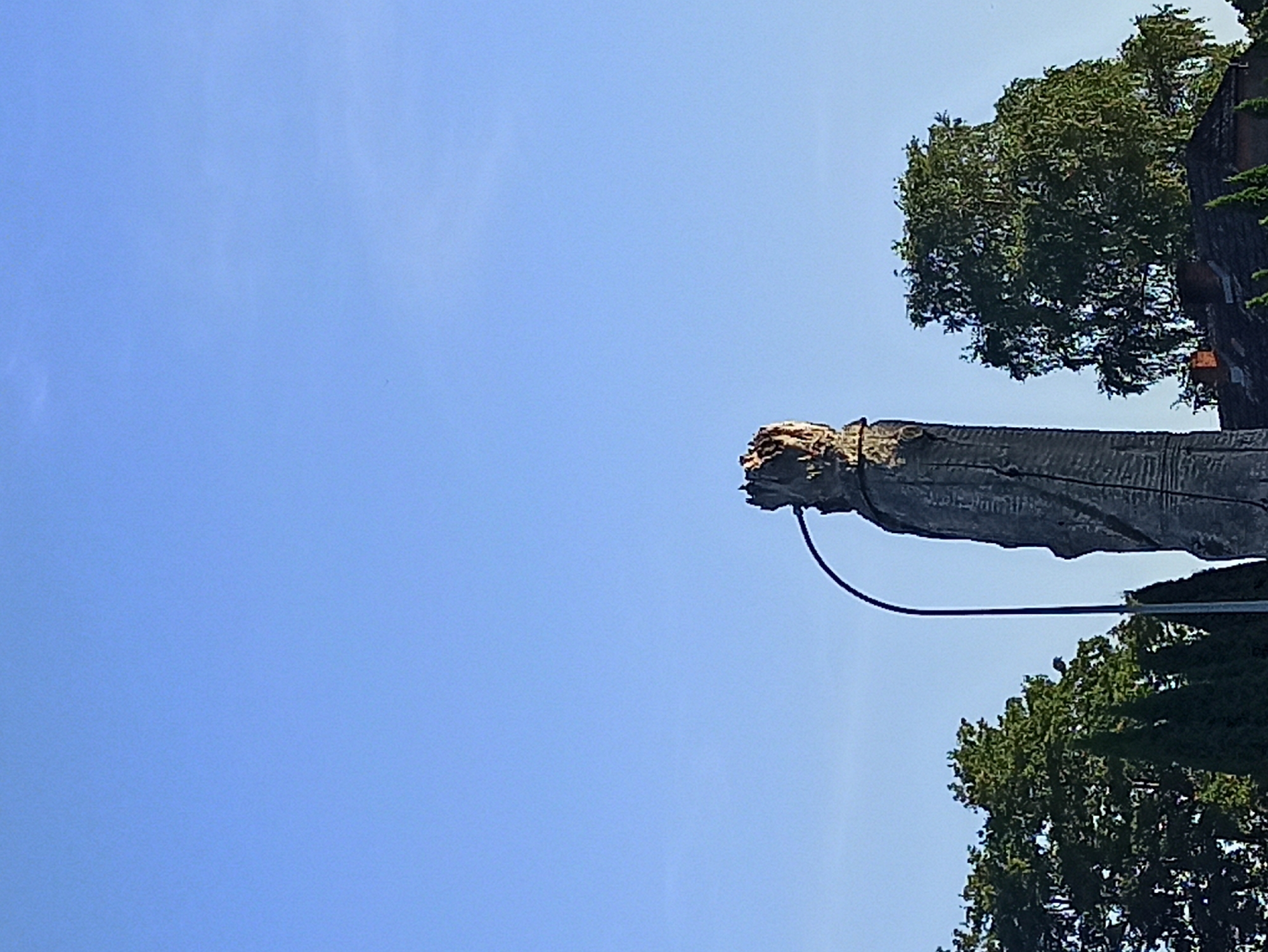 A low-angle, full shot captures a weathered, roughly carved wooden statue standing tall against a clear, light blue sky. The statue, appearing to be a figure with a crown-like top, is made of a dark, rough-textured material and has an elongated, somewhat abstract form. A black, curved street lamp pole is positioned to the left of the statue, arching over its top and disappearing downwards out of frame. In the background, lush green trees of varying sizes and shapes line the horizon, with the fronds of a large birch tree to the right almost reaching the top of the statue. The dark roof of a building is visible peeking out from behind the trees on the right, with a brick chimney. The overall impression is of an outdoor sculpture in a natural or semi-urban setting.
