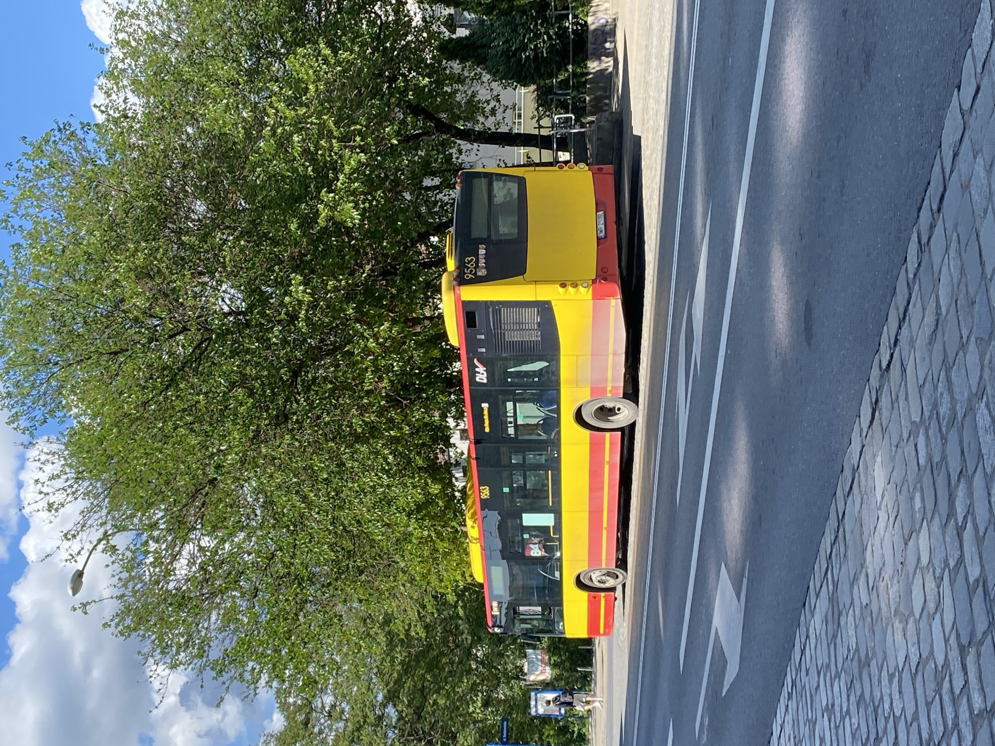 This image captures an urban street scene in Wrocław, Poland, under bright daylight with a partially cloudy blue sky. The central subject is a red and yellow public transport bus, identifiable by the fleet number "9563" displayed on its front and rear, and a rear license plate "DW 2106L" (DW being the registration code for Wrocław Voivodeship). The bus, likely a Solaris Urbino model, is facing away from the camera, positioned towards the right side of the asphalt roadway, suggesting it is either stopped at a bus stop or moving slowly. The side of the bus displays "DLA" in black lettering.
The roadway features a white arrow pointing left (forward in the bus's direction) and white lane markings, including a solid line separating the bus from the main traffic lane and double lines further left. To the immediate right of the road is a curb leading to a cobblestone pavement, which extends into the foreground.
On the left side of the road, another cobblestone pavement runs parallel. A single person, seen from behind, wearing shorts and a t-shirt and carrying a backpack, walks on this pavement near a partially obscured bus stop pole and an advertising board. Further left, beyond the pavement, mature green trees line the street. A modern streetlight head is visible above the tree canopy on the far left.
In the background, behind the bus, more dense green foliage from trees and some smaller evergreen shrubs are visible. A light-colored building is partially obscured by the trees and a metal railing structure. The overall environment suggests an established urban area with a significant presence of greenery.