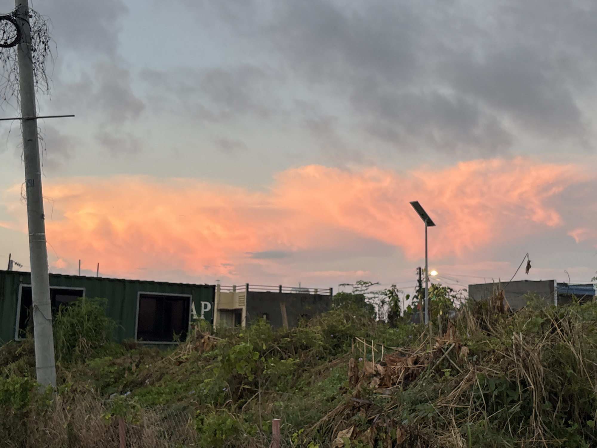 The image depicts a sunset over a scene in Davao City, Philippines. The sky is filled with a vibrant display of pink and orange clouds, contrasting with the darker grey clouds above. In the foreground, there is a densely vegetated area with dry grass and various green plants, suggesting an undeveloped or overgrown lot. A chain-link fence is visible at the bottom. Behind the vegetation, a dark green shipping container with windows is situated, and to its right, a low-rise building with some darker structures is visible. A utility pole with visible wires and some dangling debris stands prominently on the left side of the frame. A solar-powered street lamp is positioned further to the right, with its light illuminated. The overall impression is one of an urban fringe area undergoing development or in a state of disuse, captured during the colorful twilight hours.