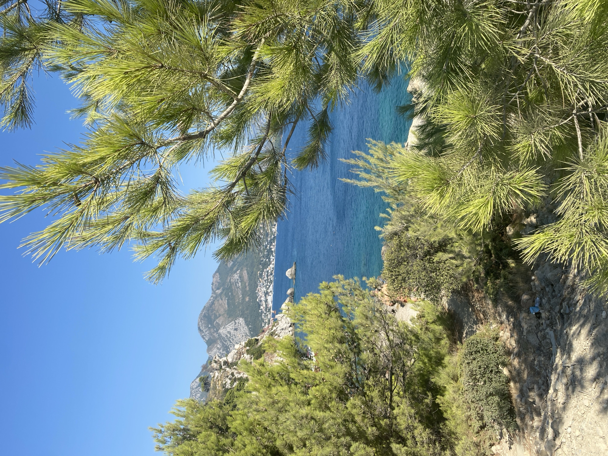 This is a scenic, eye-level, medium shot taken on a sunny day, showcasing a picturesque coastal view of Sutomore, Montenegro. In the foreground, lush green pine trees dominate, their needles catching the sunlight and creating a soft, textured frame for the scene. The branches of a large pine tree partially obscure the view, adding depth and a naturalistic feel.
Beyond the trees, the vibrant turquoise waters of the Adriatic Sea stretch out, meeting a clear blue sky. The sea is calm, with a few small rocky outcrops visible near the shore. Along the coastline, a town with white buildings cascades down the slopes of rugged, green-covered mountains. The mountains are layered and rise majestically in the background, creating a dramatic backdrop to the coastal settlement.
The immediate foreground shows a rocky, dirt path winding through sparse vegetation and some shrubbery. A small pile of what appears to be trash, including a blue plastic bag and a bottle, is visible on the ground near the path. In the mid-ground, slightly to the left, a person can be seen in the distance, walking along the path or near the water's edge, but their features are not discernible. The overall impression is one of natural beauty and tranquility, with a subtle hint of human presence and environmental impact in the foreground.