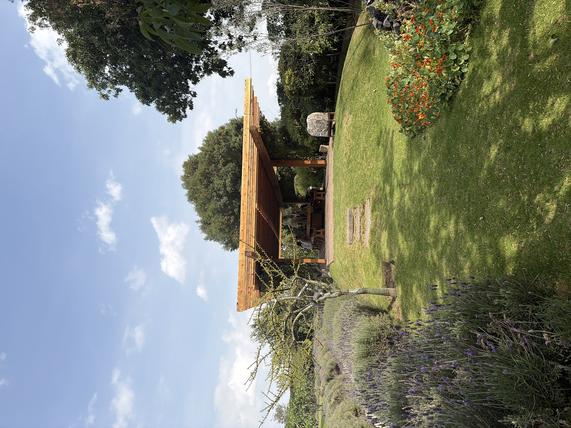 The image depicts an outdoor garden setting in Unknown, Unknown. A wooden pergola stands prominently, adjacent to a trimmed green lawn. Lavender bushes line a path, alongside a small tree with sparse leaves. Orange flowers are clustered near the lawn's edge. A large rock sits further back in the garden. The sky is blue with scattered clouds. There are no people visible in the shot.