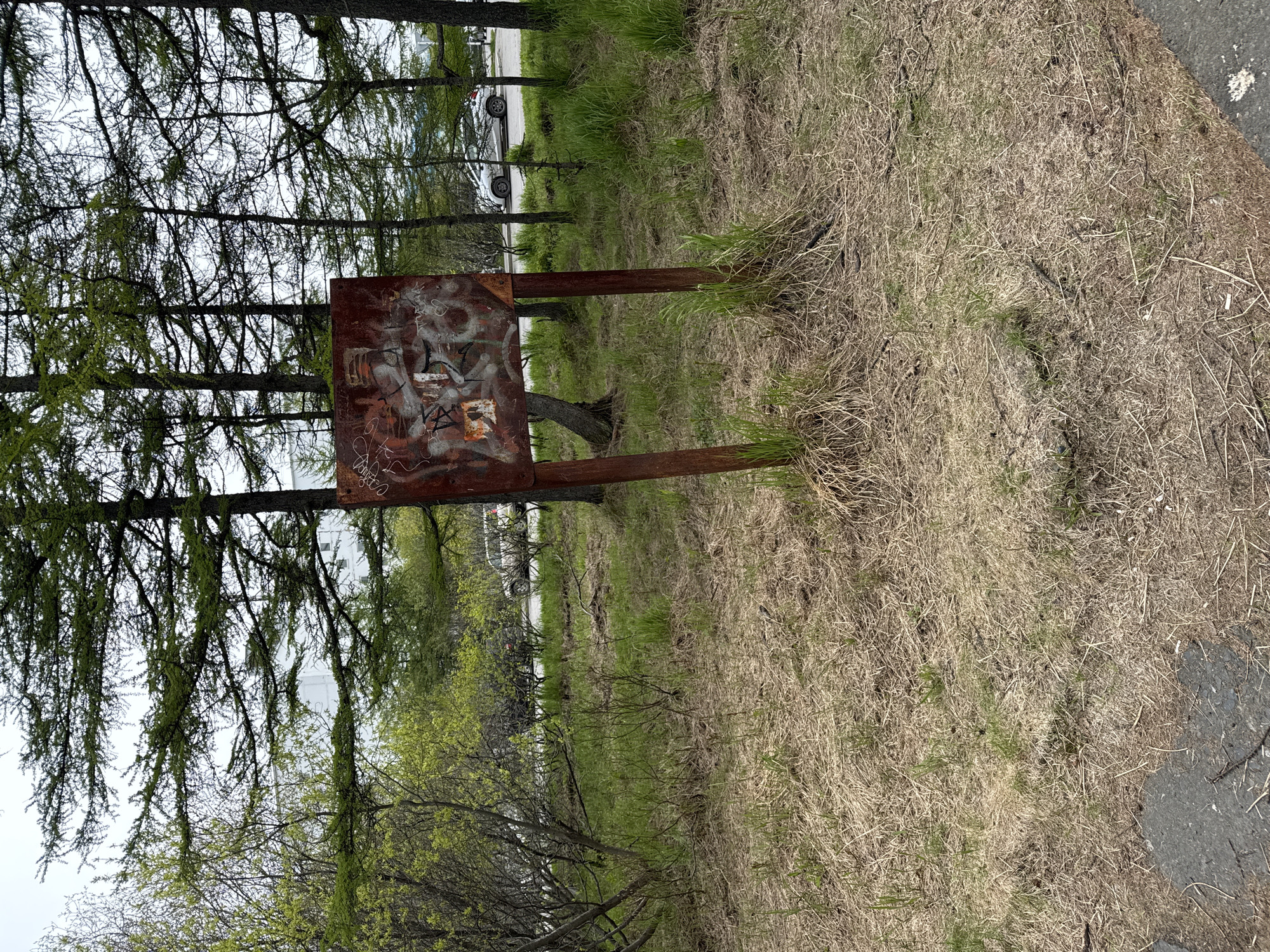 An outdoor, eye-level shot shows a rusted metal sign with graffiti on it, standing in a patch of dry grass and small green plants. The sign is supported by two rusty metal poles. Behind the sign, several tall, thin trees with green needles are visible, with a few lighter green trees to the left. In the background, a white car is parked on a paved surface, with other cars and trees further back. The sky above is overcast and light in color. The overall scene appears to be in a natural or semi-natural setting, possibly on the outskirts of a city, given the presence of a road and parked vehicles.