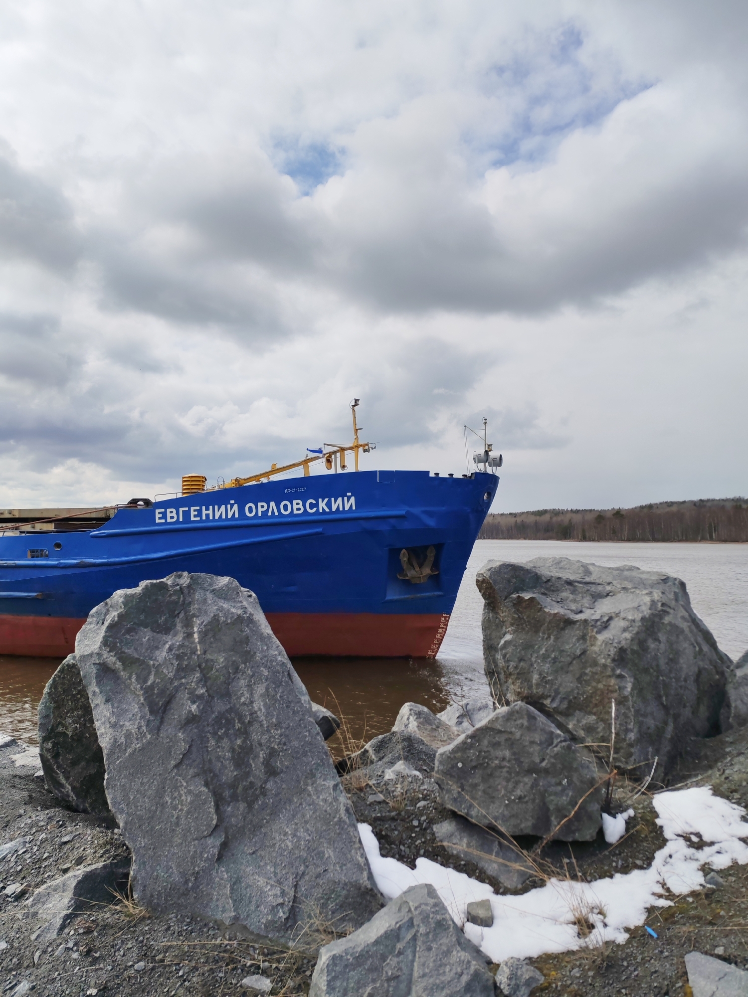 A large, blue cargo ship, named "ЕВГЕНИЙ ОРЛОВСКИЙ" (Yevgeniy Orlovskiy) in white Cyrillic letters, dominates the midground of the image. Its lower hull is painted red, and a visible anchor hangs from its bow. A small identification number "лп-21-235.7" is also visible on the ship's side. The vessel appears to be moving or docked on a wide, brownish river.
In the immediate foreground, several large, dark grey rocks are prominent, some partially covered by patches of melting snow and dry, sparse grass, indicating cool weather, likely early spring or late autumn. The ground near the rocks consists of gravel and dirt.
The river's far bank is lined with a dense, dark forest of trees, extending to the horizon under a heavily overcast sky. The sky is filled with thick, grey and white clouds, though small patches of blue are visible through breaks. The overall atmosphere is subdued and industrial. No people are visible in the scene. The setting appears to be a waterway in a rural or semi-rural area, consistent with the given location context of Shcheleiki, Russia.