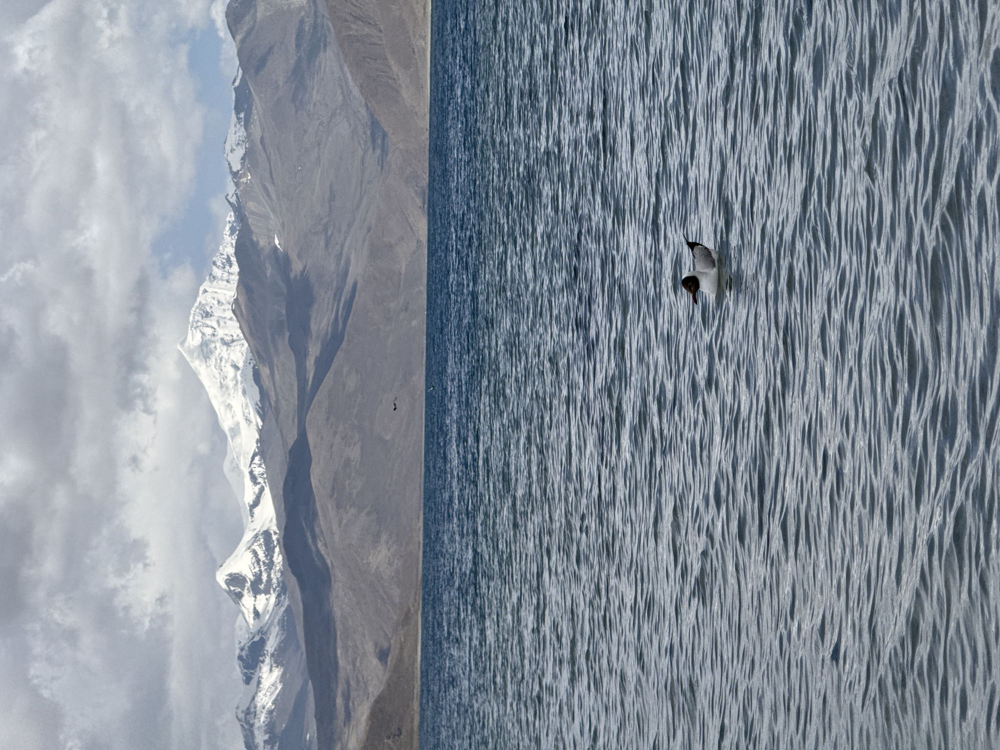 The image depicts a high-contrast scene, split between mountainous terrain on the left and a body of water on the right.
Left side: A mountain range is visible, with peaks capped with snow and ice. The lower slopes are rocky and barren. Clouds are present in the sky above the mountains.
Right side: A body of water dominates, with ripples and wave patterns. A bird, possibly a seagull, is captured in mid-flight above the water's surface.
Baidê, China is not visible. The image lacks specific markers that would permit identification of geographical location.