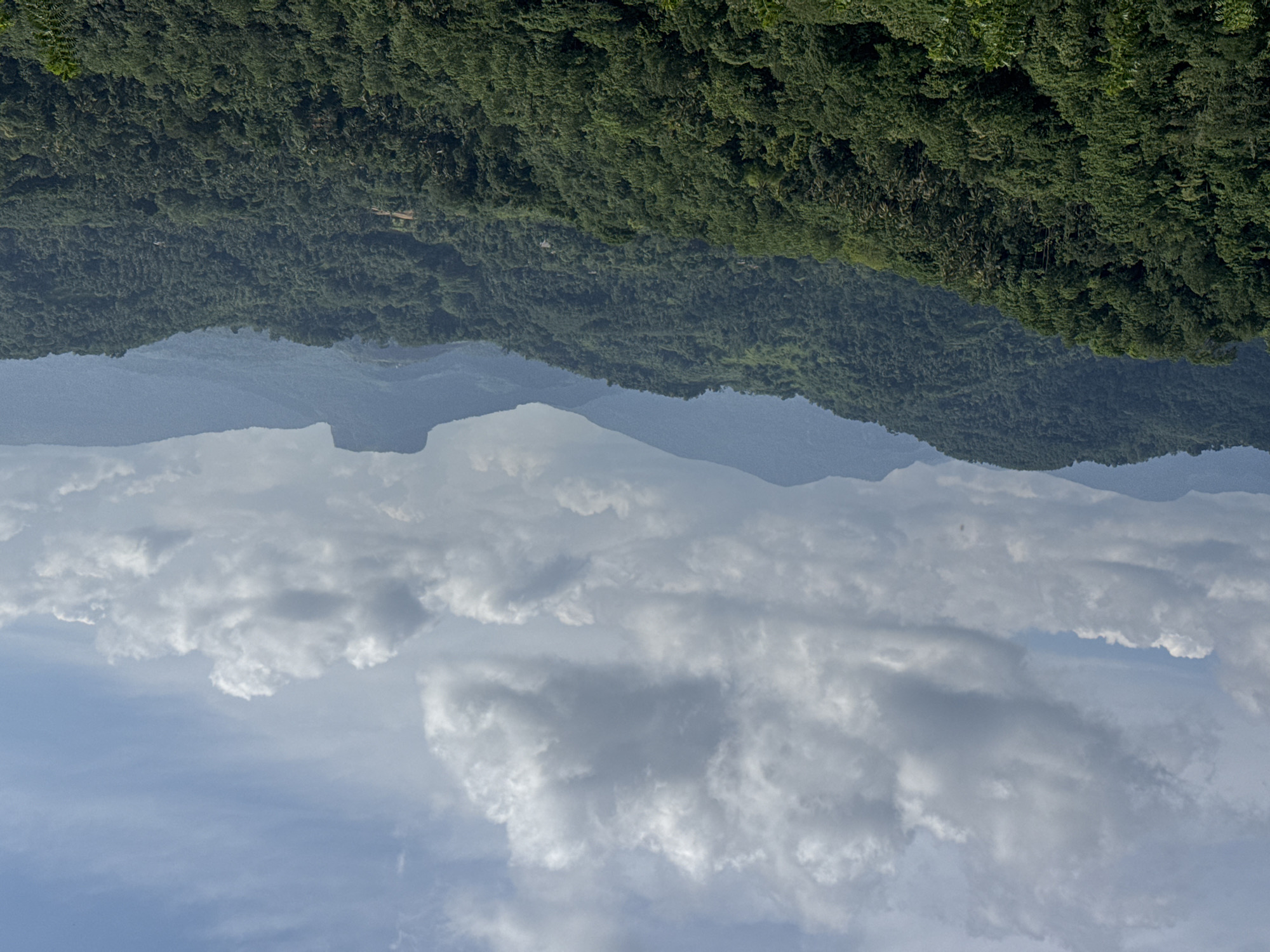 The image depicts a landscape in Pilimatalawa, Sri Lanka. The scene features a view with the sky filled with puffy white clouds dominating the lower portion of the image. Above the clouds, a range of hills and mountains are visible. These hills are covered in lush, dense green vegetation, suggesting a tropical or subtropical environment. The color of the hills fades to a bluish-gray in the distance. The image is oriented upside down.