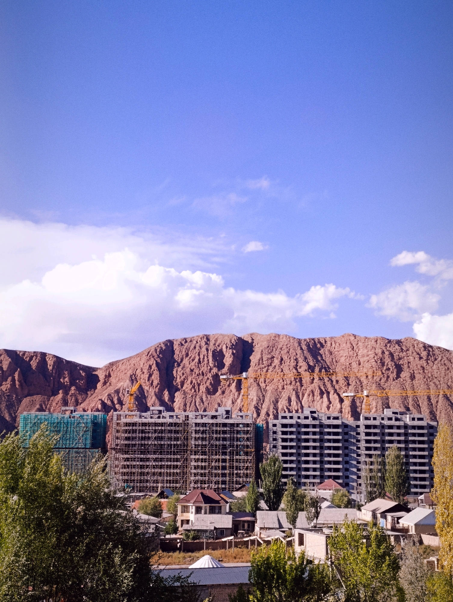The image depicts a panoramic view of Naryn City, Kyrgyzstan, under a clear blue sky with scattered white clouds. In the foreground, lush green trees partially obscure a residential area with houses of varying architectural styles and construction, some appearing older and others newer. Beyond the residential zone, the dominant feature is a large-scale construction site. Multiple multi-story buildings are under construction, characterized by exposed concrete frames and scaffolding, with some sections covered in green netting. Several large yellow construction cranes are visible above the buildings, indicating ongoing development. In the background, a massive, rugged mountain range dominates the horizon, its reddish-brown rocky slopes creating a dramatic natural backdrop to the urban landscape and construction activity. The scene conveys a sense of progress and development within a geographically striking setting.
