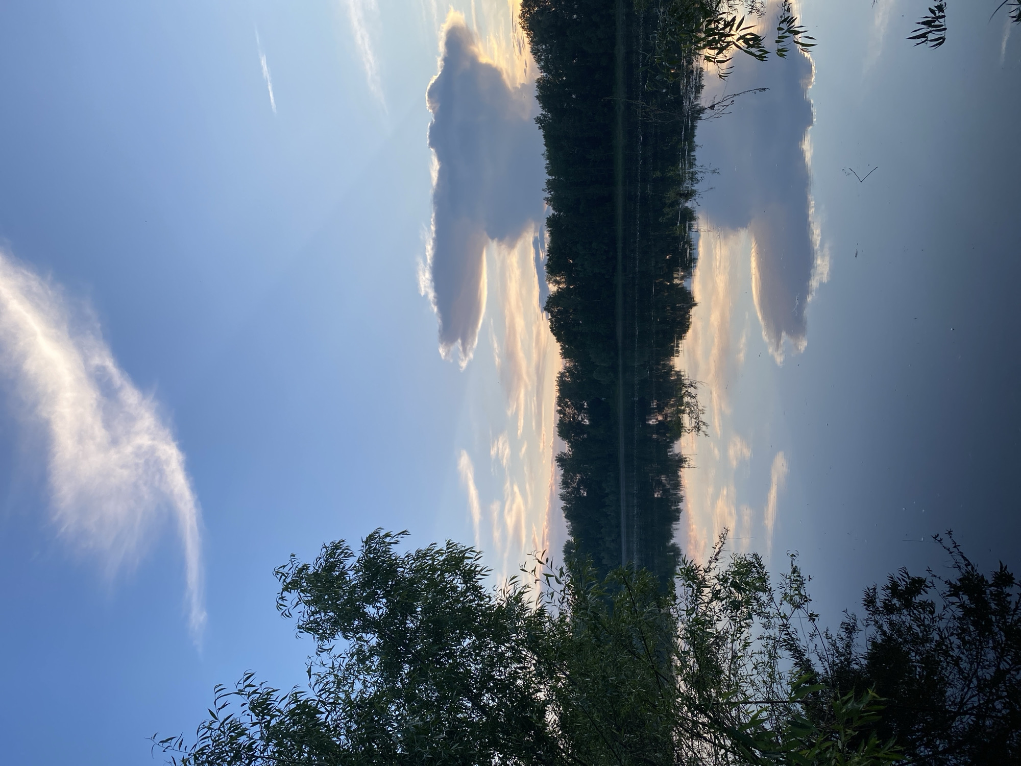 This is a photograph of the Kama River in Chaikovsky, Russia, during a sunset. The sky is a gradient of blue with scattered white and pinkish clouds. One large, mushroom-shaped cloud is prominent in the center of the sky, with rays of sunlight radiating from behind it. The opposite bank of the river is lined with a dense forest of dark green trees. The calm water perfectly reflects the sky, the clouds, and the treeline, creating a symmetrical mirror image. In the foreground on the left, a leafy green tree overhangs the water, its reflection also visible in the river. The overall scene is tranquil and serene, characteristic of a natural landscape at dusk. There are no people or animals visible in the image.