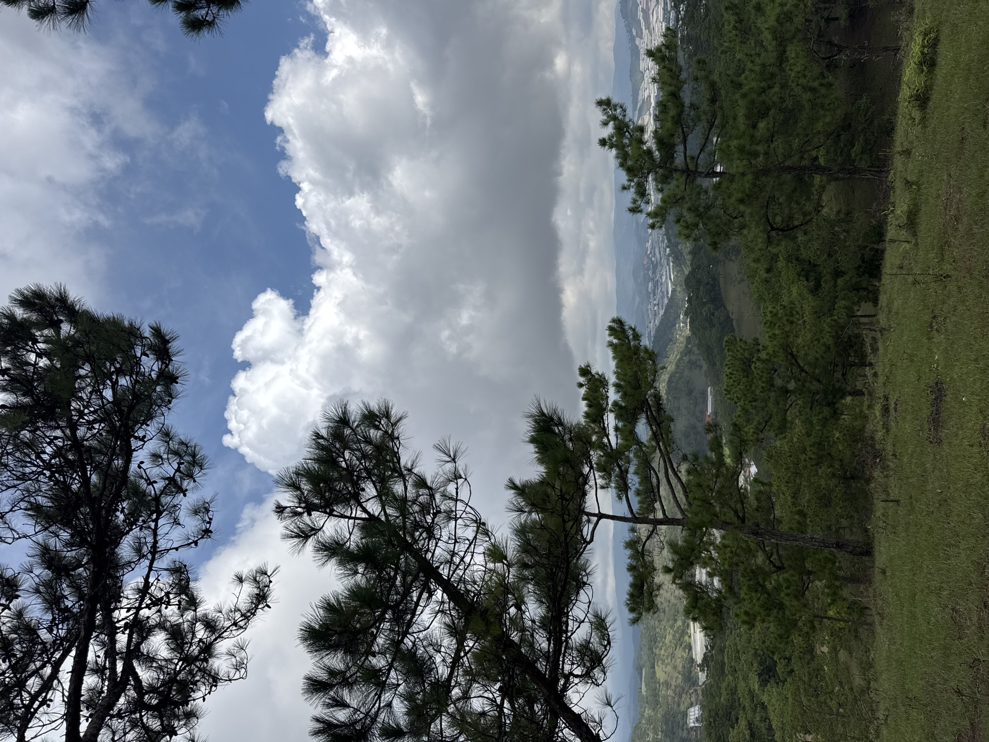 The image depicts a landscape in Lạc Dương, Vietnam. In the foreground, pine trees frame a view of a valley. Buildings and fields are visible in the distance, partially obscured by haze. The sky is filled with cumulus clouds against a backdrop of blue sky. A grassy hillside slopes down from the right side of the frame.