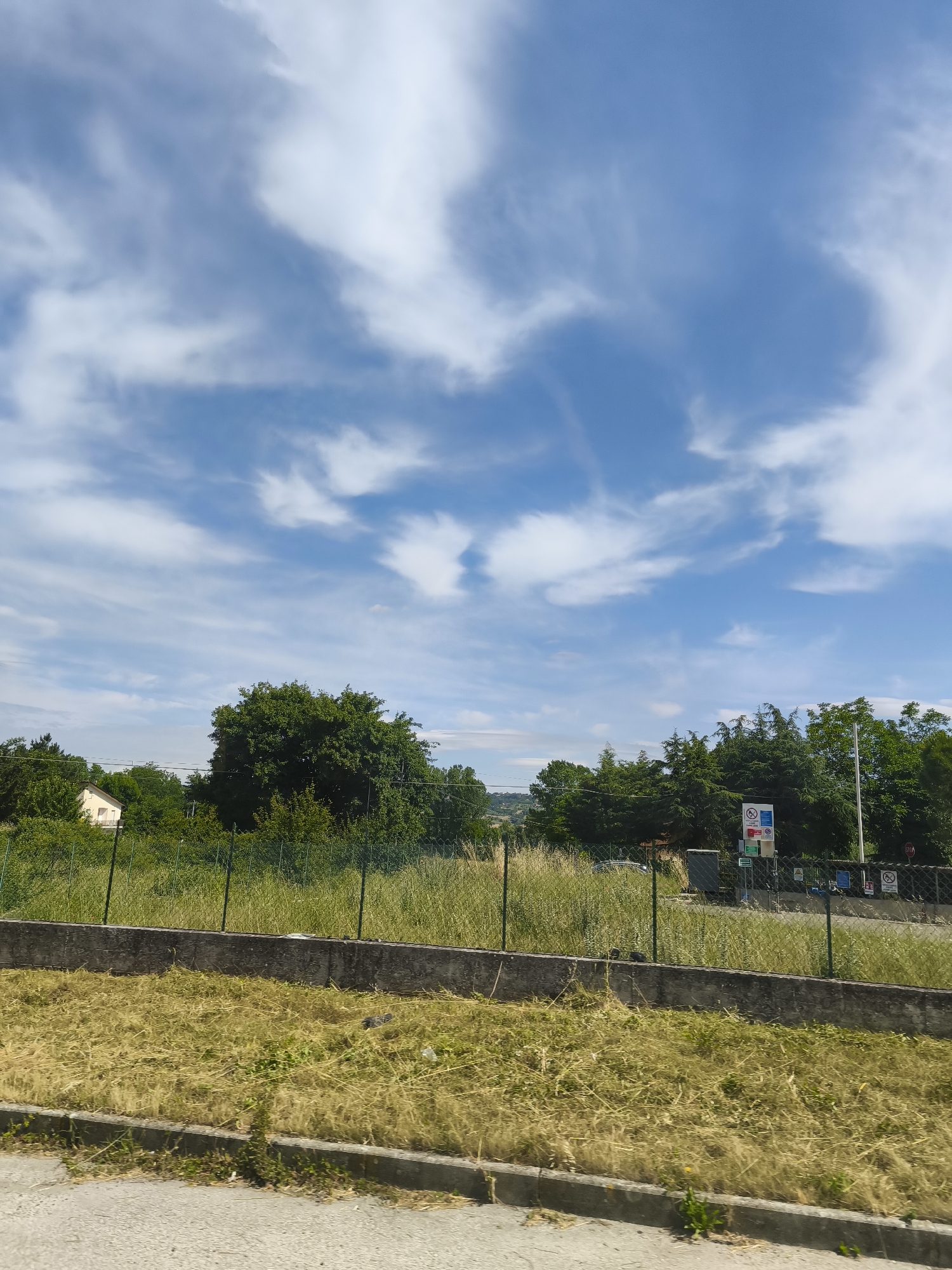 This is a vertical, medium-shot, outdoor photograph taken from a roadside perspective, looking towards a grassy embankment and a cluster of trees under a bright blue sky with wispy white clouds. The foreground features a paved surface, possibly a road or sidewalk, with a concrete curb. Behind this, a gently sloping grassy area is visible, with dried grasses and some green vegetation. A low concrete retaining wall separates this area from a higher embankment.
The embankment is covered in tall, dry grass, with a green chain-link fence running along its top. Beyond the fence, a line of trees forms a dense green canopy. To the left, a small, light-colored house with a beige roof is partially visible amongst the trees. In the mid-ground, a large, mature tree with dark green foliage stands out prominently. Further to the right, more trees are visible, and a few signs on poles are positioned behind the fence. One sign appears to have several international symbols, including a prohibition symbol with a cigarette, and another related to recycling. Another sign further to the right reads "STOP". The overall impression is a rural or semi-rural setting on a sunny day. The location is identified as San Polo Matese, Italy, likely a view from a road leading into or out of the town. There are no people or animals visible in the image.