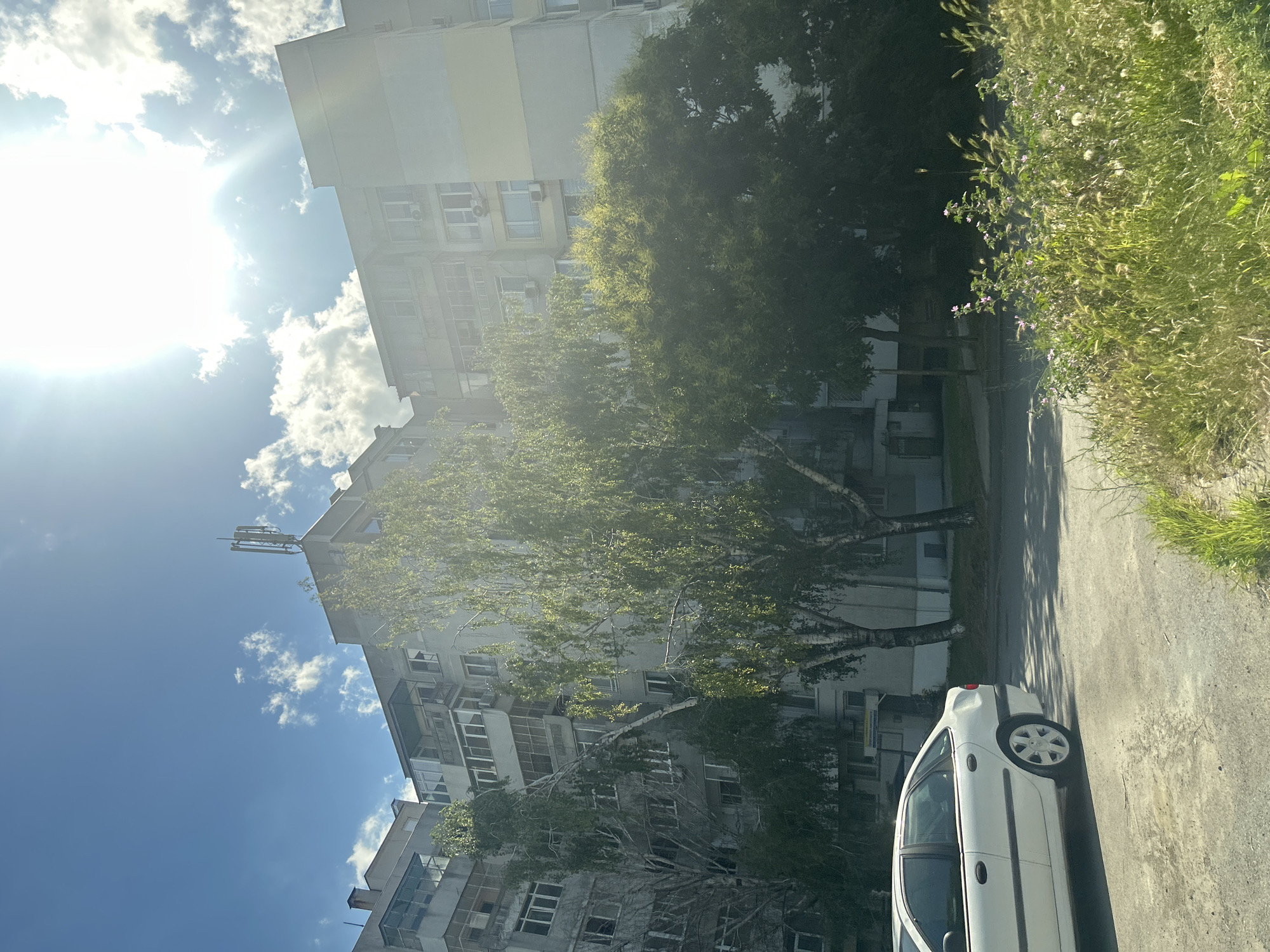 The image depicts a residential building in Varna, Bulgaria, under a bright, sunny sky with scattered clouds. A white sedan is parked in the foreground on a paved surface. The building is multi-story, with visible windows, balconies, and air conditioning units. Several trees, including birch trees with white bark, are situated in front of the building. The area is bordered by a patch of overgrown green grass and some flowering plants. A cell tower is visible on the roof of the building. The overall scene suggests an urban residential environment on a clear day.