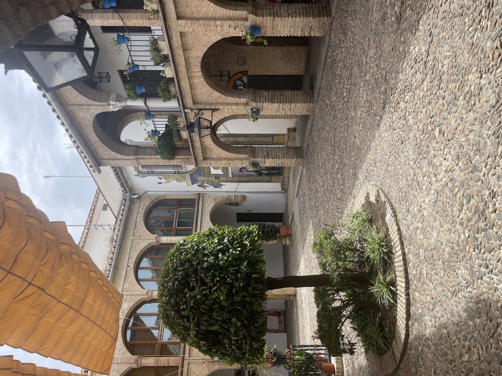 This is a vertical, eye-level shot of a courtyard in Córdoba, Spain. The scene depicts a charming, traditional Spanish courtyard with a cobblestone floor and exposed brick archways. A large, round tree with dense green foliage stands in the center of a circular planter bed. Surrounding the tree are smaller plants and grasses.
The courtyard is enclosed by buildings with multiple levels, featuring white walls, arched windows, and balconies adorned with blue potted plants. A brown awning is partially visible in the lower left corner, extending over the courtyard. Sunlight casts shadows across the cobblestone, suggesting it is daytime, likely mid-morning or afternoon given the angle of the light. The sky is overcast and pale.
The overall impression is one of a tranquil and picturesque setting, typical of Andalusian architecture. There are no people visible in the frame. A few signs are partially visible in the background, including one above a dark wooden door that appears to have some red and yellow lettering. Another sign, likely a menu or information board, is visible on a white wall further back. The atmosphere is serene and inviting, hinting at a quiet historical location.