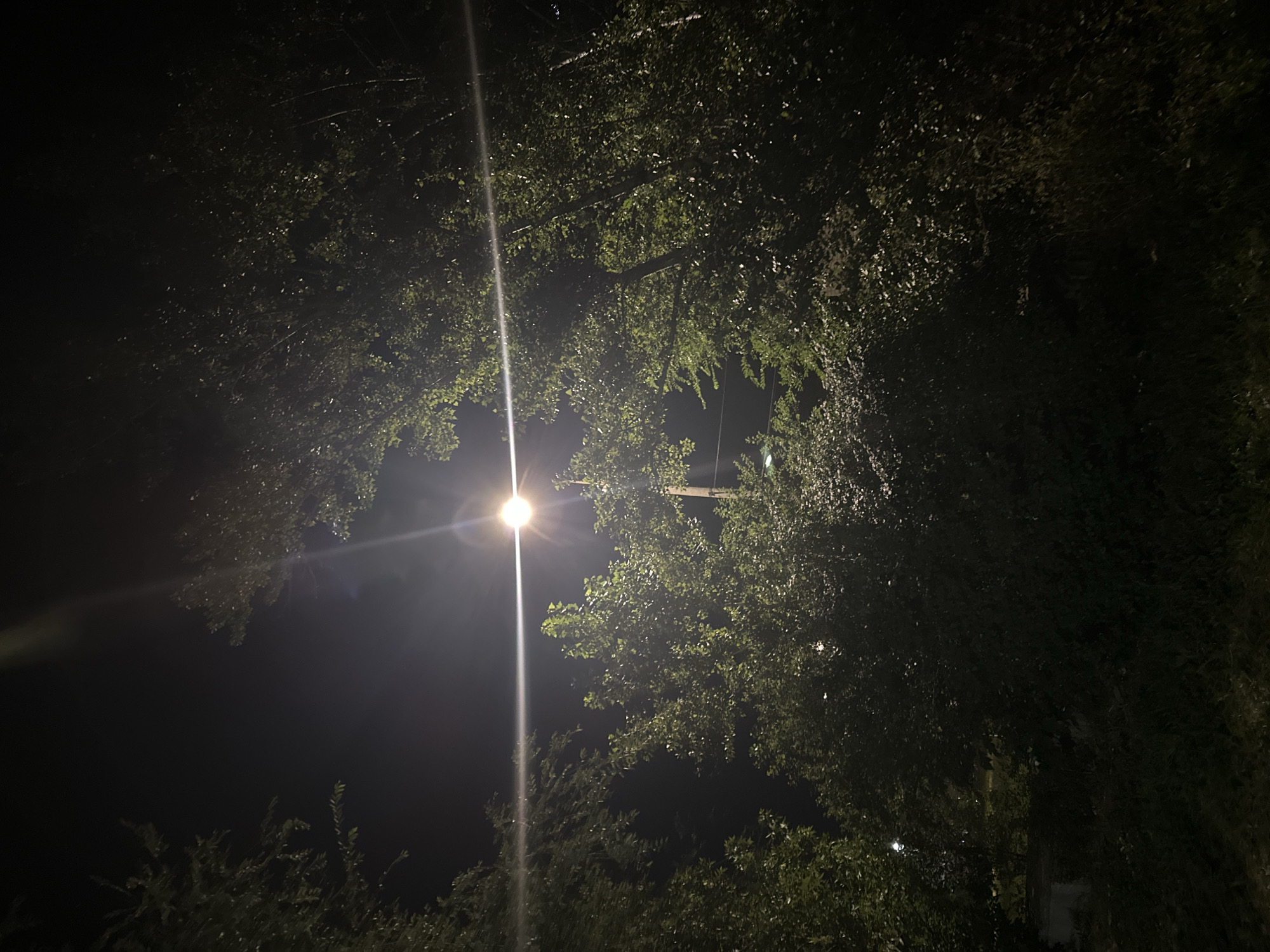 An outdoor night scene shows trees and foliage illuminated by a bright streetlamp. The streetlamp is positioned near the center of the image and casts a strong light that creates a lens flare across the upper portion of the frame. The surrounding trees have green leaves, some of which are catching the light. The background is dark, indicating nighttime. There are no people or animals visible in the image. There is no information in the image to suggest this scene is located in Nevinnomyssk, Russia.