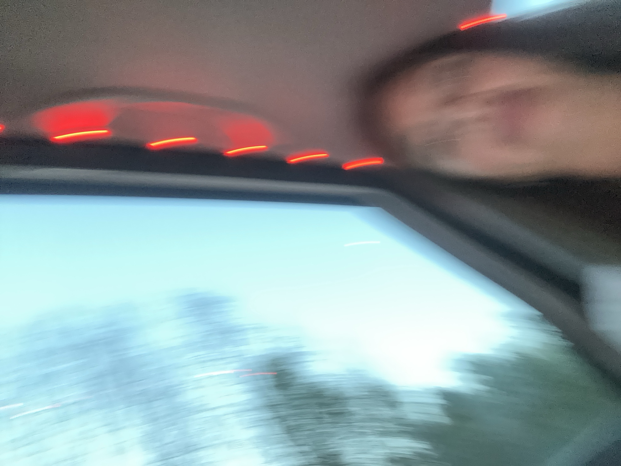 The image, taken from inside a moving vehicle, shows a blurred view through the car window and part of a person's face. Outside, trees and a bright sky are visible. The car's interior includes red lights on the ceiling. It is not possible to determine the exact location in Chaikovsky, Russia, from this image.