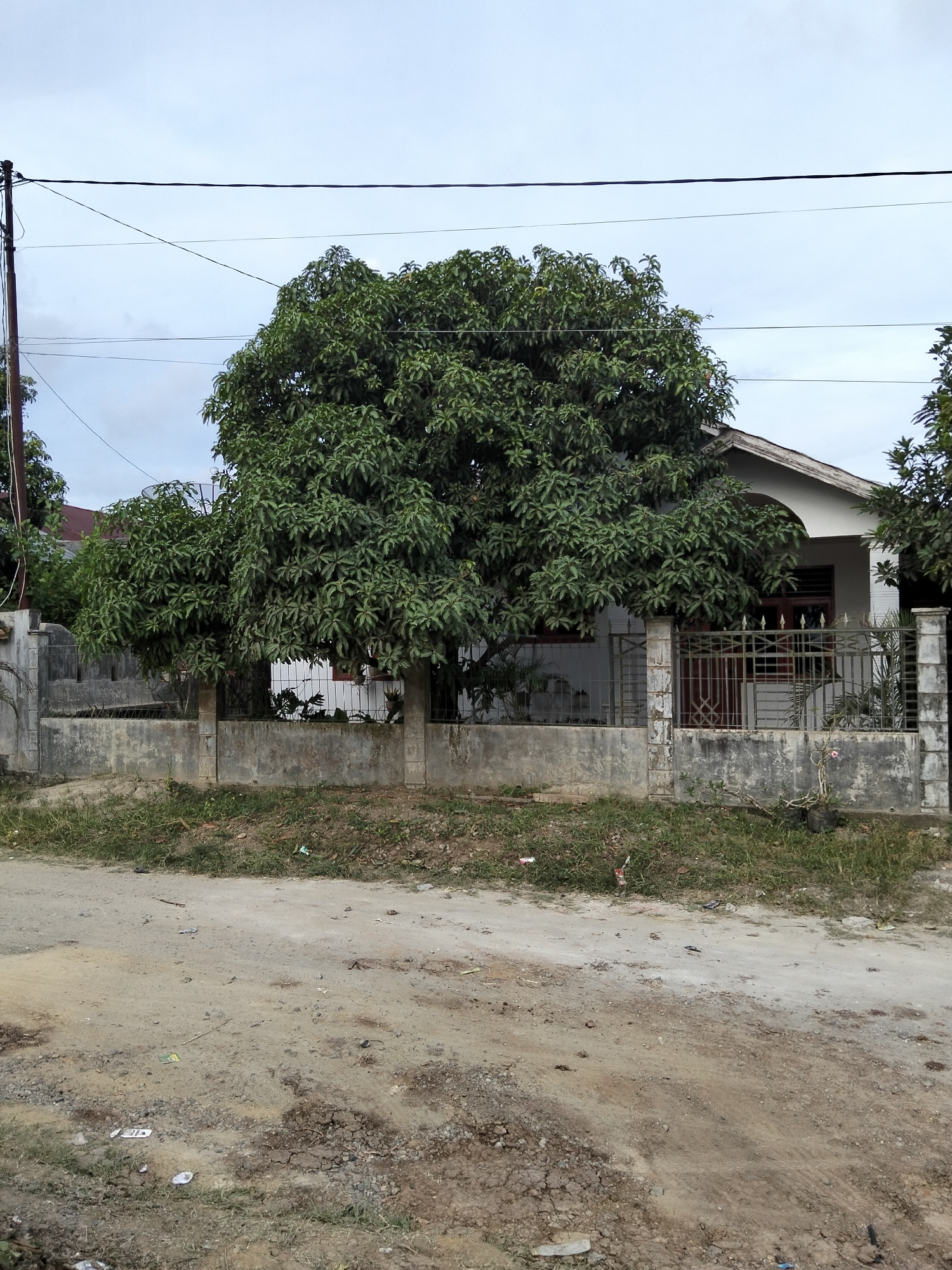 A medium-shot image shows a dirt road leading towards a house behind a low concrete wall and a metal fence. A large, leafy green tree dominates the center of the frame, partially obscuring the front of the house. The house itself is light-colored with a dark-tiled roof and dark-framed windows. A utility pole with overhead wires stands to the left of the frame. The ground in the foreground is dusty and uneven, with some sparse grass and scattered debris. The sky is overcast. The scene appears to be in Payagaboh, Indonesia.