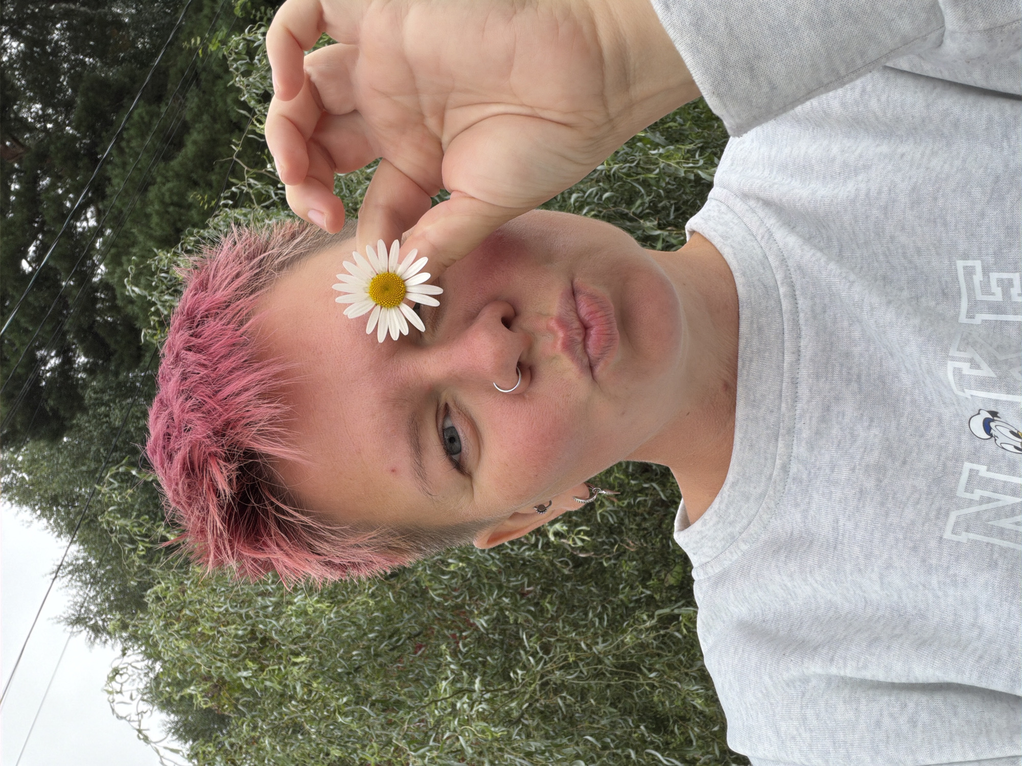 A medium shot captures a person with short, bright pink hair from the shoulders up, holding a daisy to their right eye. They are wearing a light grey sweatshirt with faint white text on the front. The person has a nose ring and earrings and their lips are pursed. Their skin is flushed red. Behind them, a dense green tree with drooping branches is visible, with other trees and power lines in the background under an overcast sky. The scene appears to be outdoors, possibly in a park or residential area. There are no indications of the specific location within Chaikovsky, Russia.