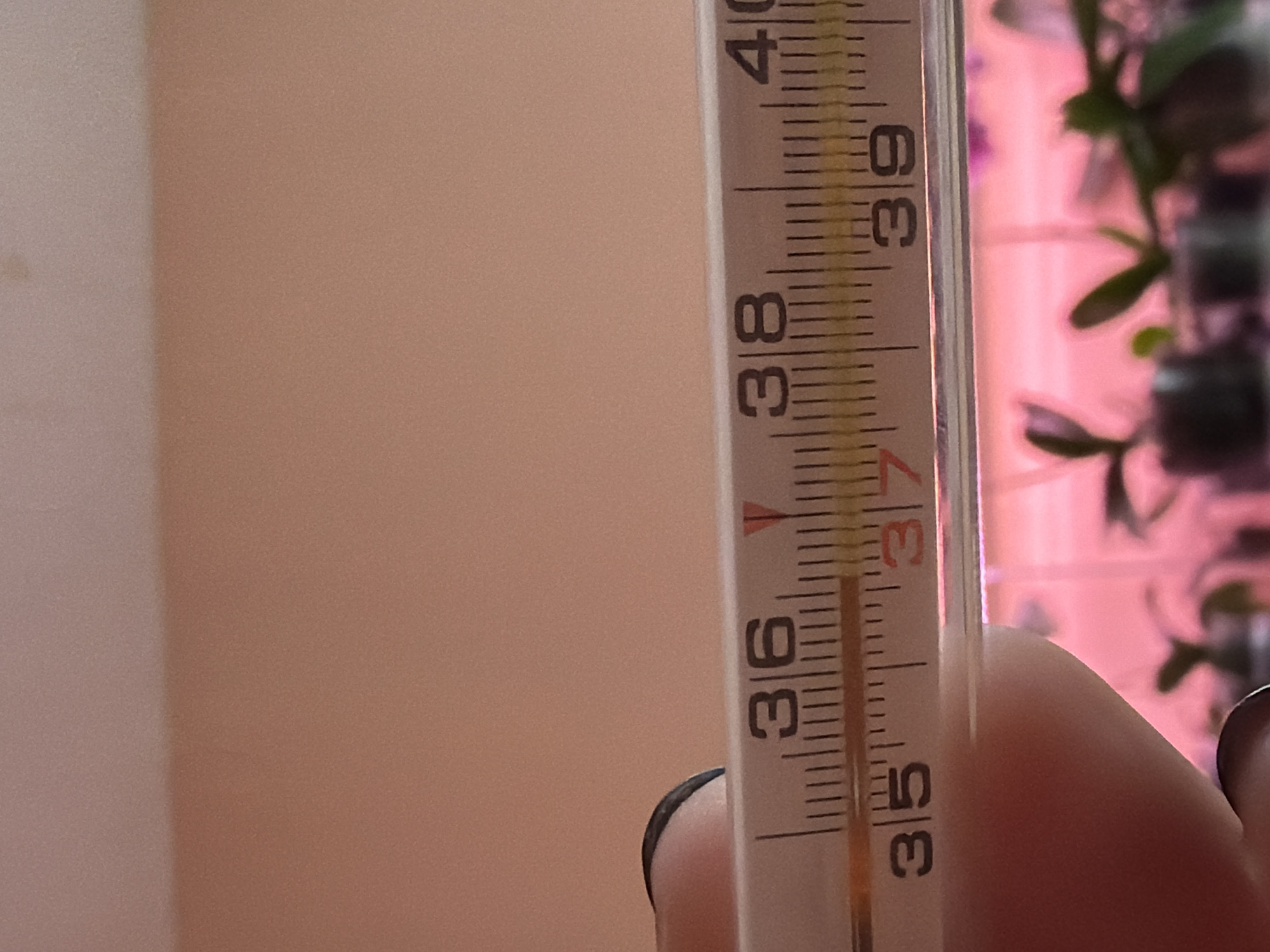The image shows a close-up of a thermometer held by a person's fingers. The thermometer is a glass tube with markings indicating temperature in Celsius. The mercury level is between the markings for 37 and 38 degrees Celsius, appearing to be slightly above 37. The background is out of focus, but appears to be a pinkish-toned wall. The thermometer is positioned horizontally. No specific location in Chaikovsky, Russia is discernible from the image.