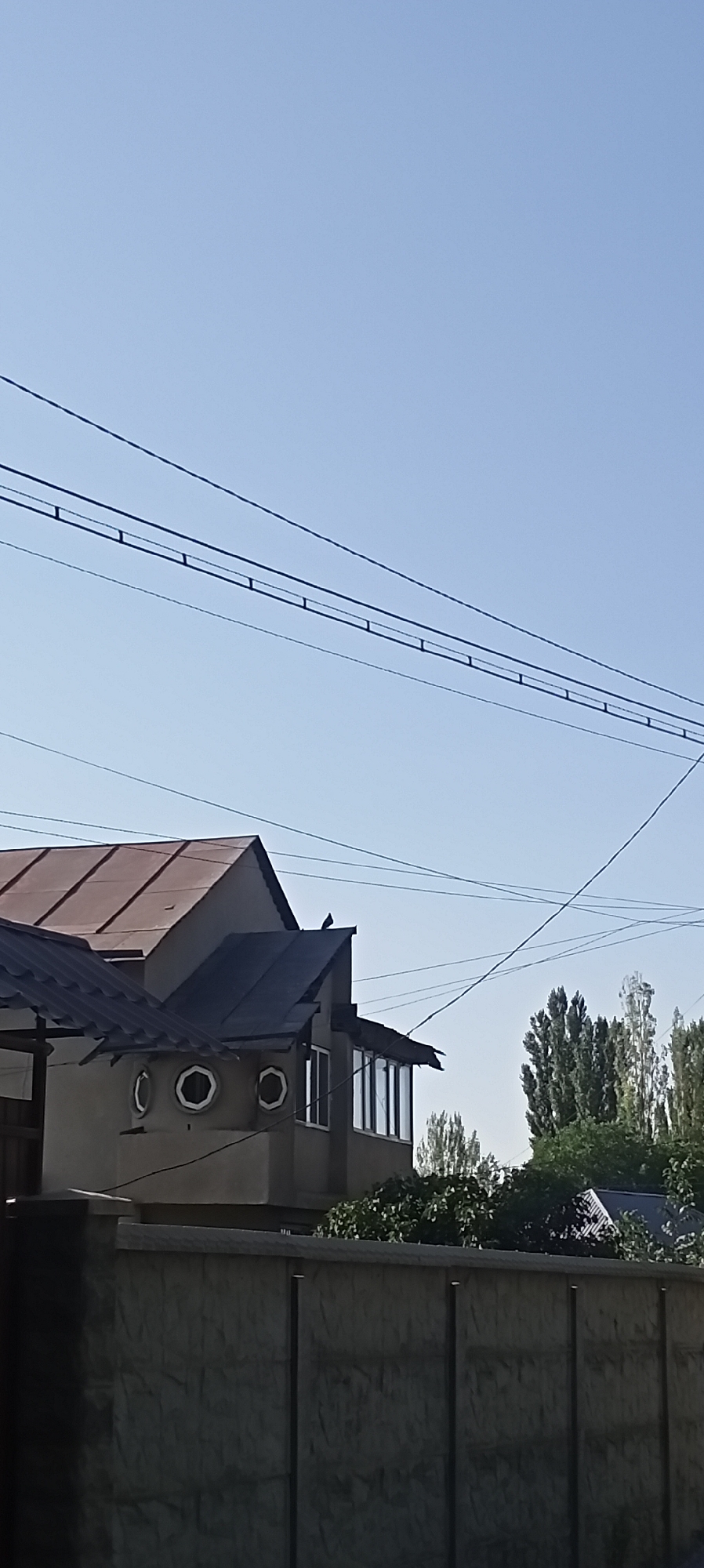 This image depicts a scene in Sokuluk, Kyrgyzstan, focusing on a two-story building with a multi-pitched, weathered metal roof. The building has a light-colored stucco exterior, featuring three circular windows with white frames on the lower level. A section of the building extends outward with a dark-colored, sloped roof and a sunroom-like enclosure with vertical glass panes. A dark-colored bird is perched on the peak of the dark roof section. Behind the building, several tall, slender trees with green foliage are visible, along with a glimpse of another structure with a dark roof. In the foreground, a section of a grey, textured concrete fence runs horizontally across the lower part of the frame. Overhead, multiple power lines stretch across the clear blue sky, some supported by poles. The lighting suggests a daytime scene with the sun positioned above and to the right.