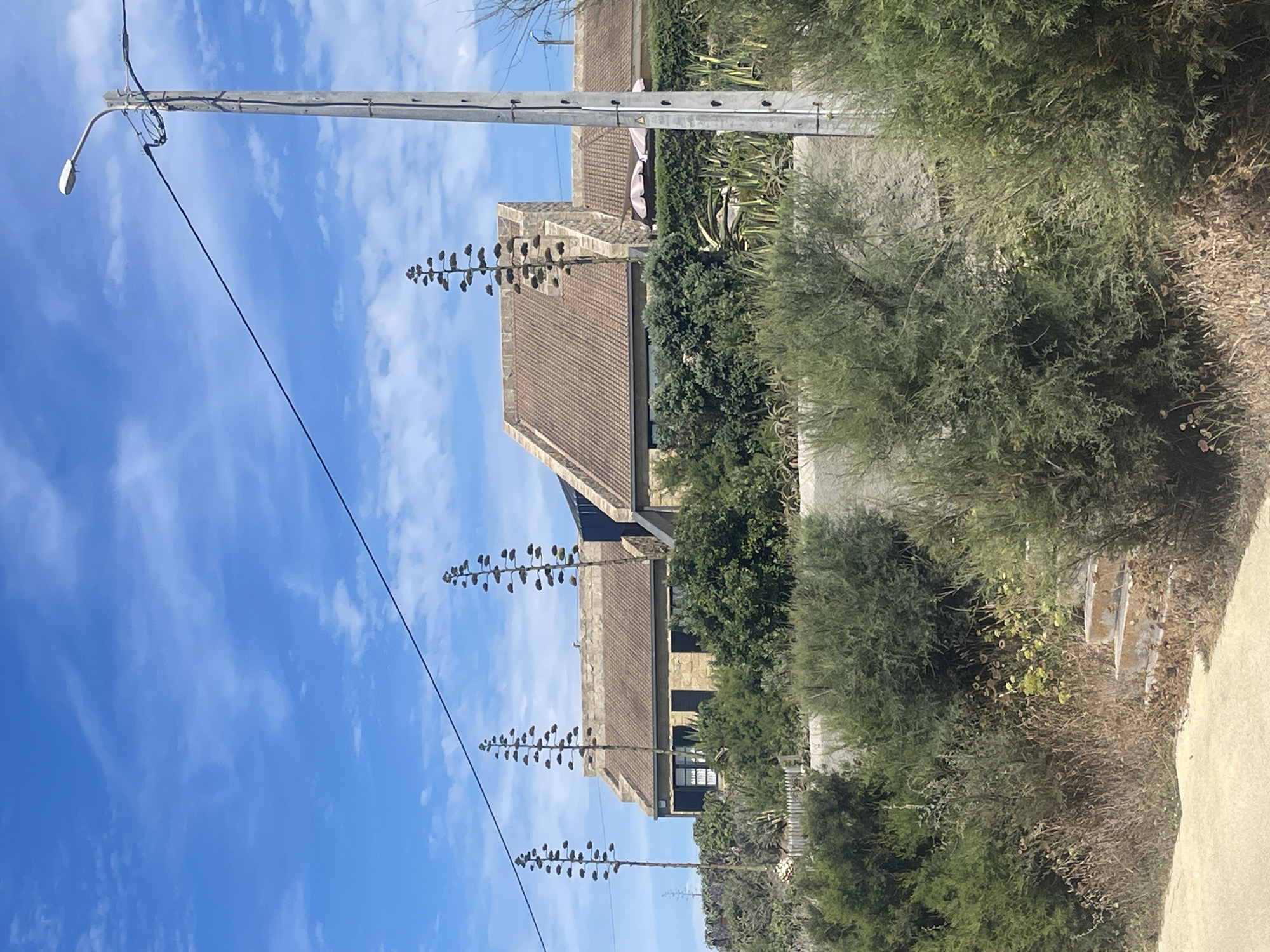 The image depicts a residential building in Colares, Portugal, characterized by its beige stone facade and terracotta tiled roof. The house is partially obscured by dense green vegetation in the foreground, including shrubs and what appear to be agave plants with tall flower stalks. A concrete utility pole with a street light is visible on the right side of the frame, with a dark electrical wire extending diagonally across the sky. The sky is bright blue with scattered white clouds. In front of the building, there is a low wooden fence and more greenery, suggesting a garden or landscaped area. The scene appears to be a daytime, outdoor shot.